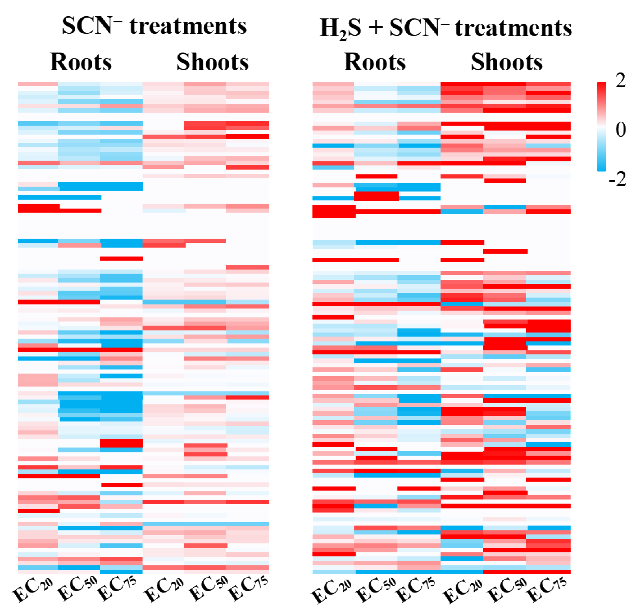 Toxics 12 00591 g006