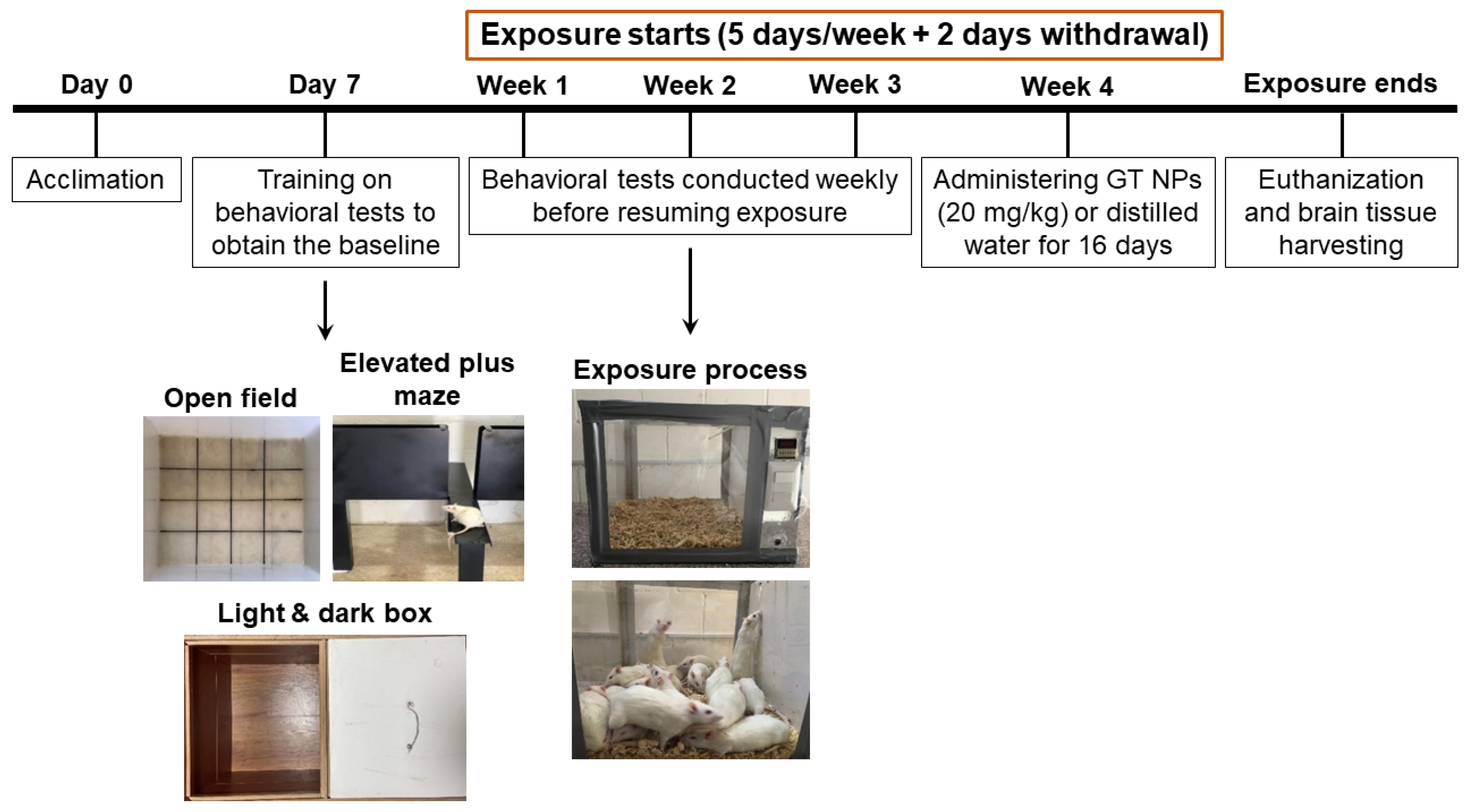 Toxics 12 00598 g001