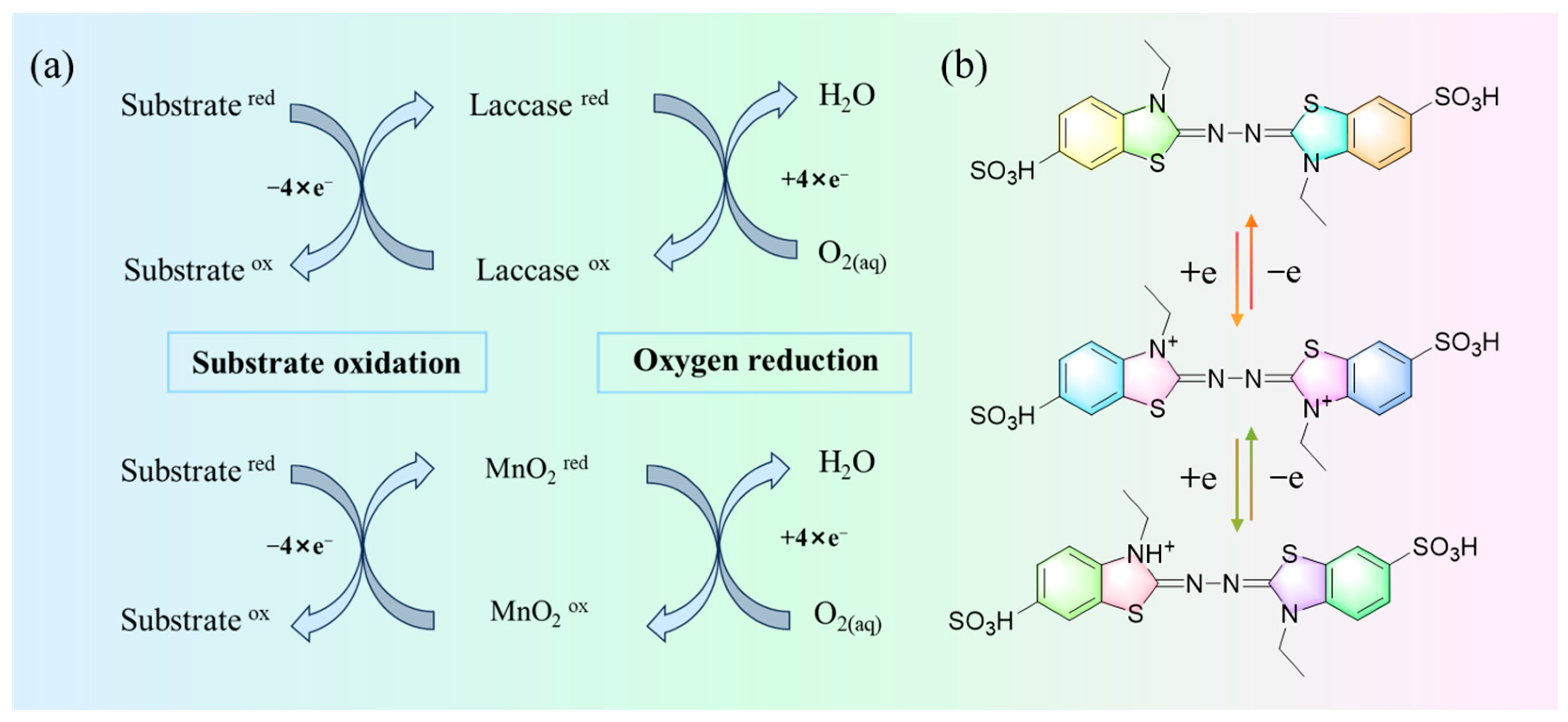 Toxics 12 00619 g008