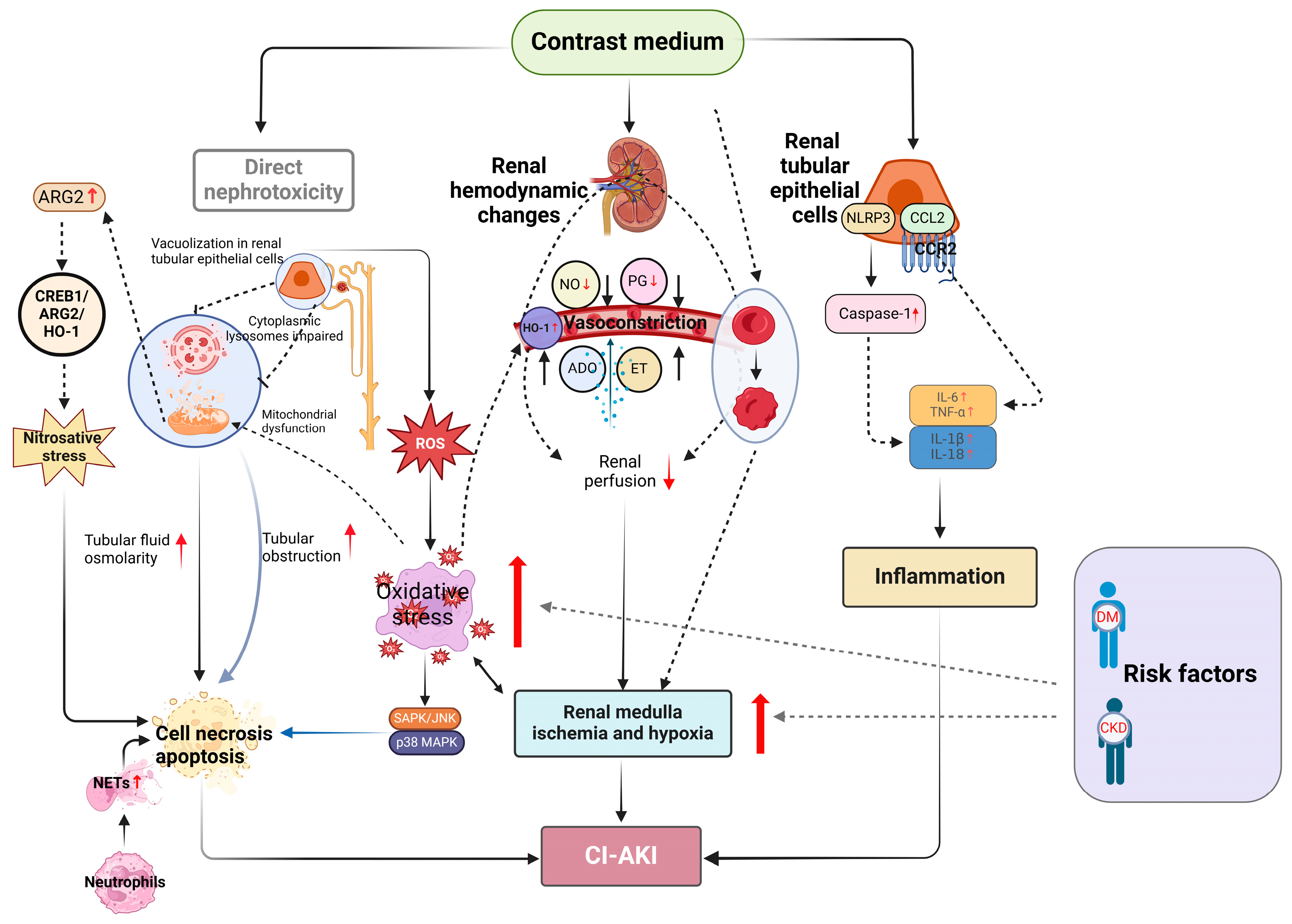 Toxics 12 00620 g001 Toxics 12 00620 g001