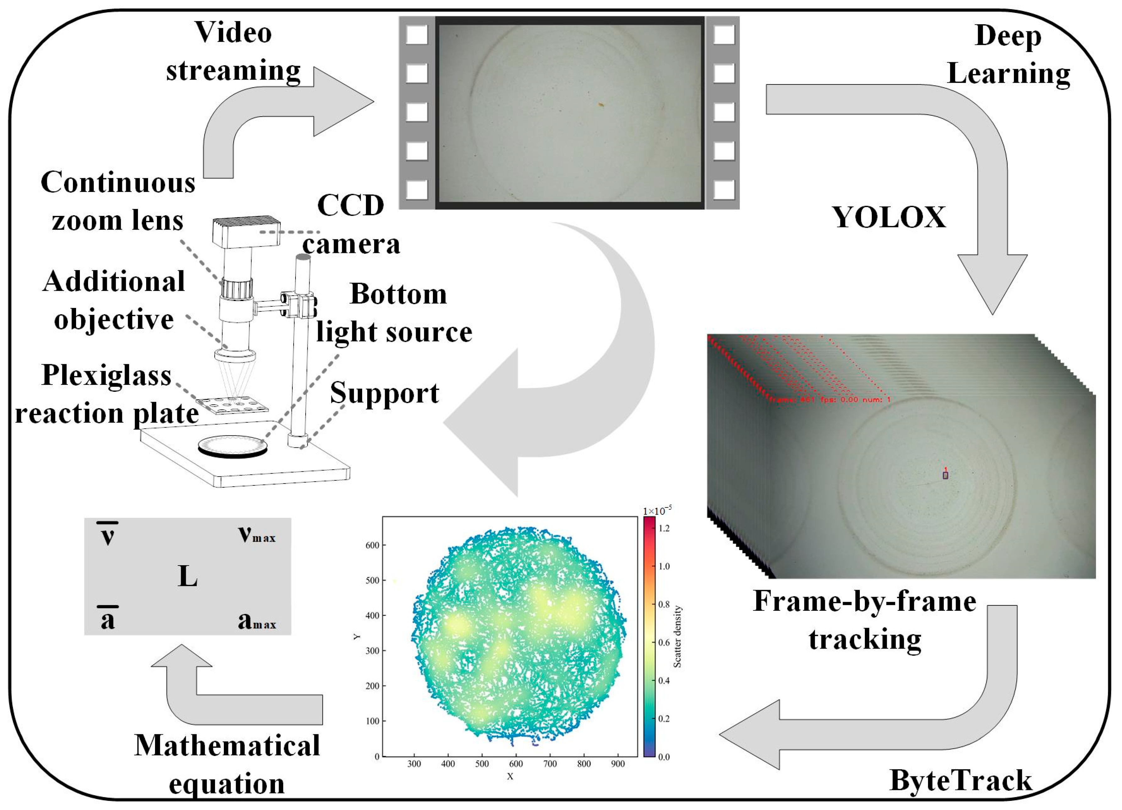 Toxics 12 00621 g001