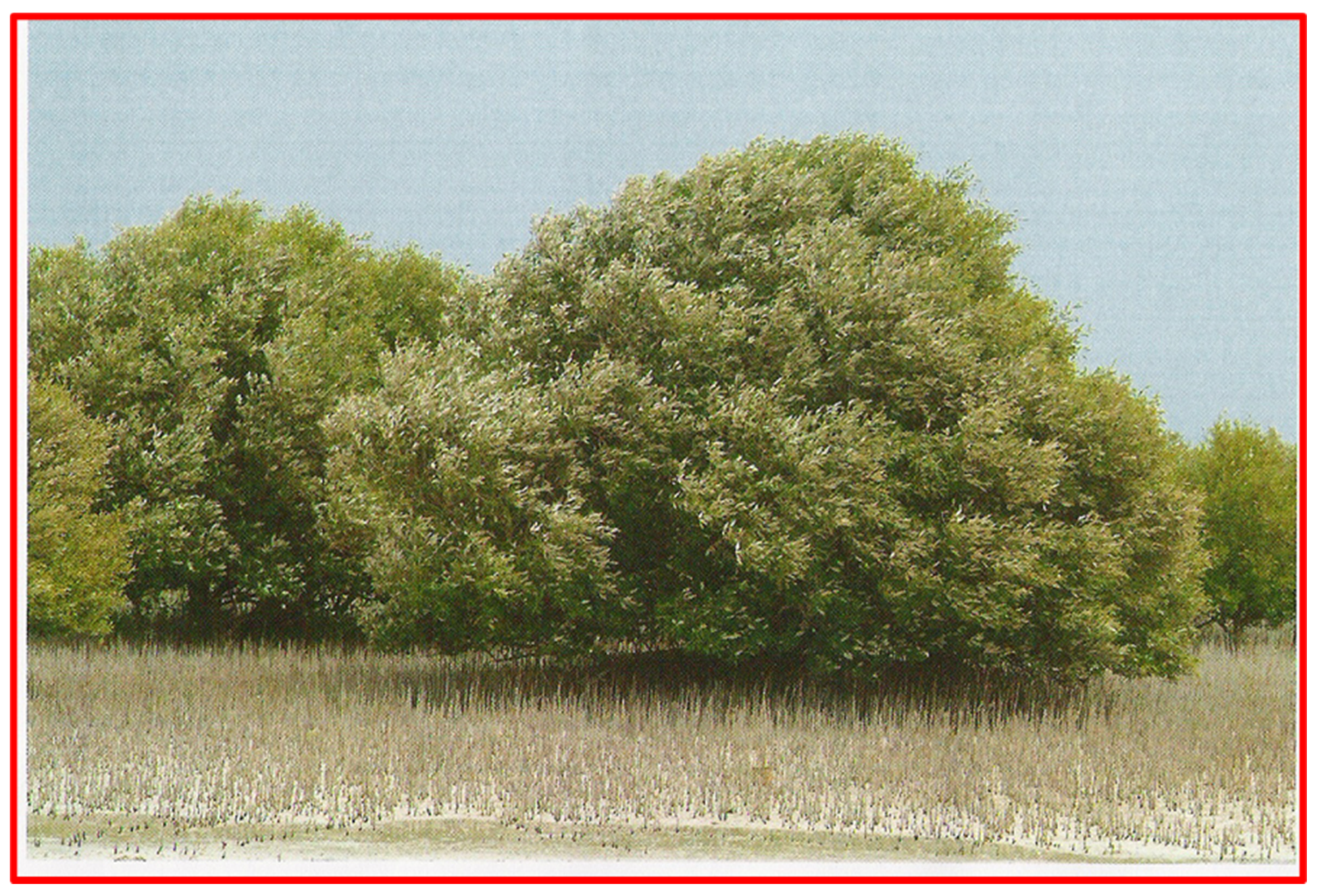 Toxics 12 00625 g002 Toxics 12 00625 g002