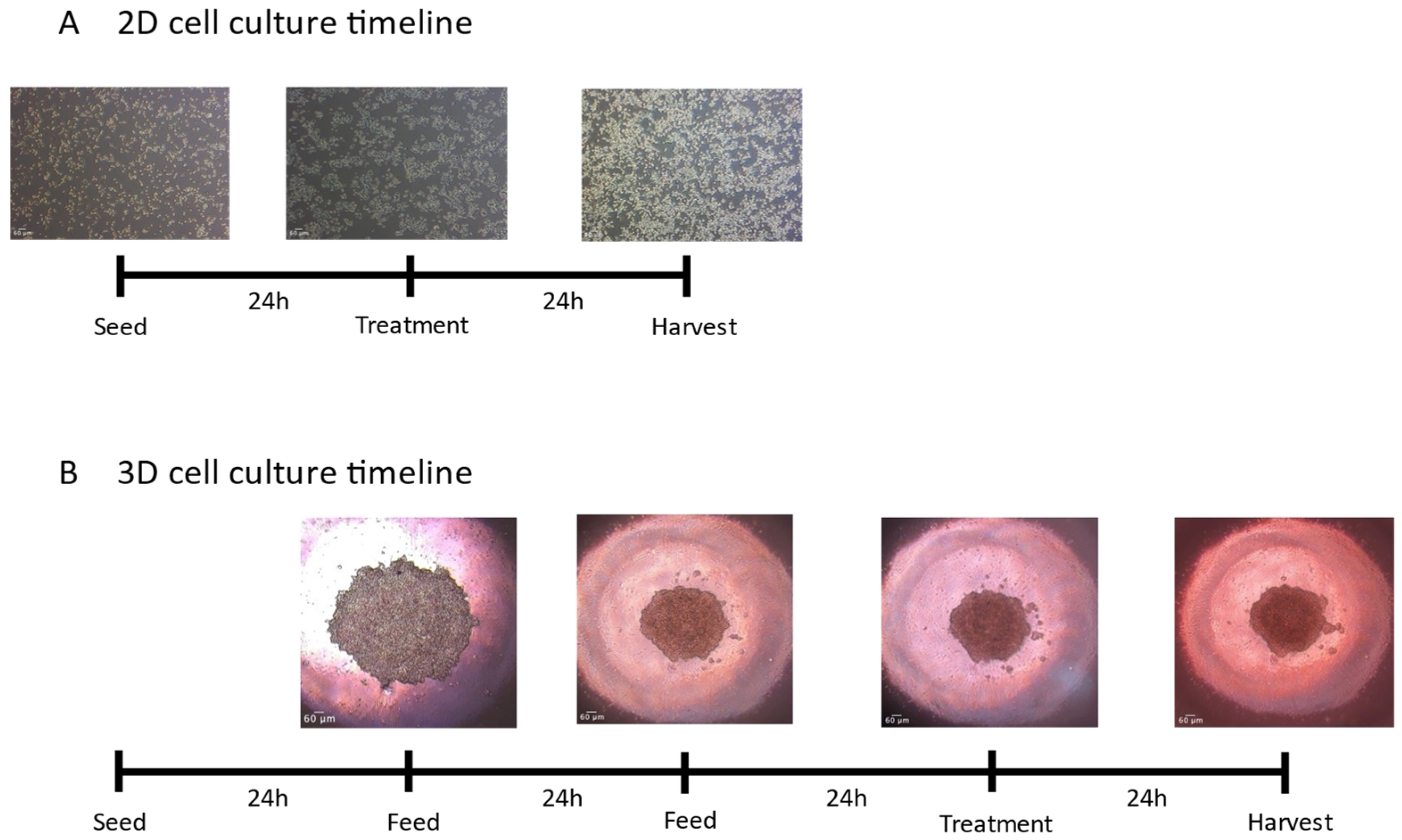 Toxics 12 00631 g001 Toxics 12 00631 g001