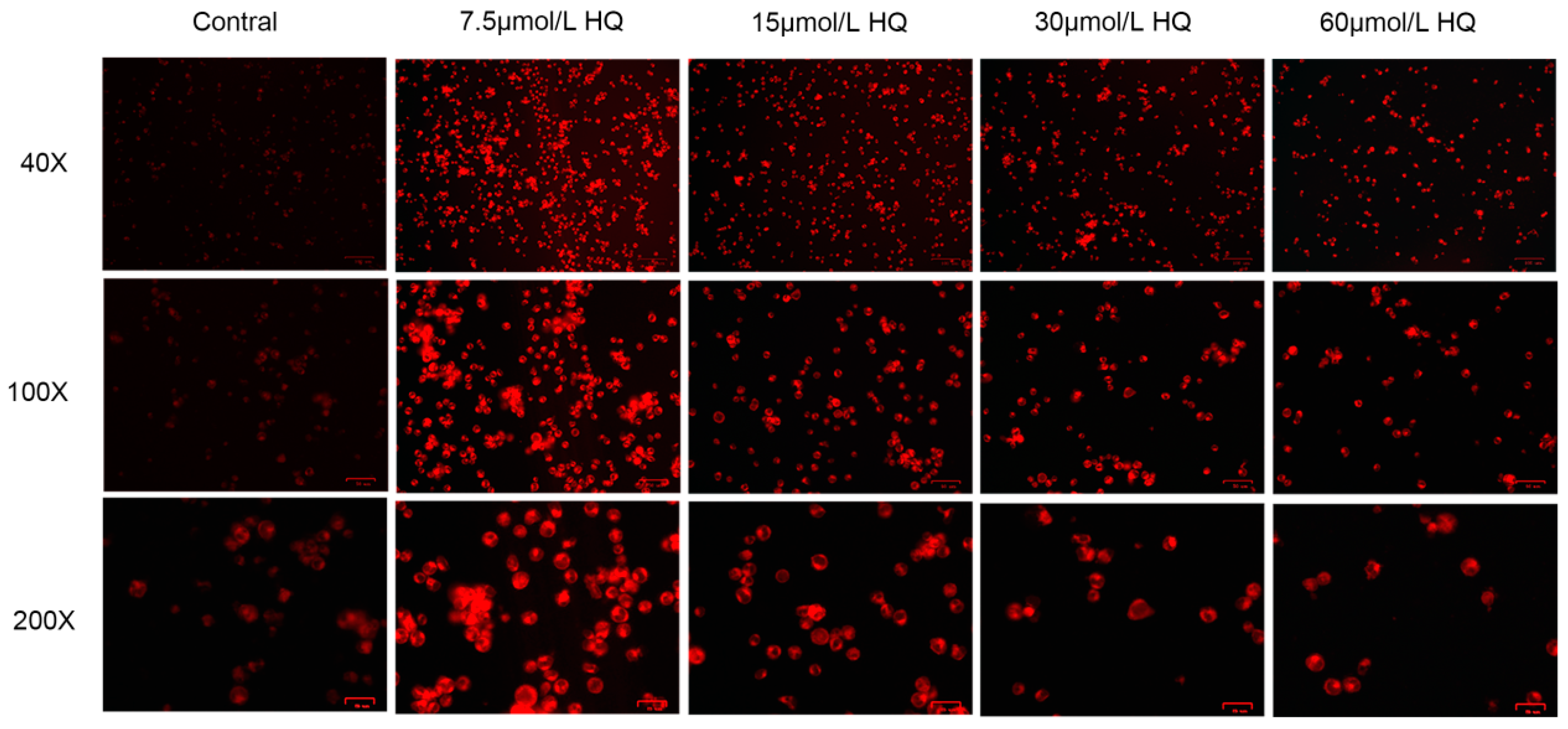 Toxics 12 00644 g002