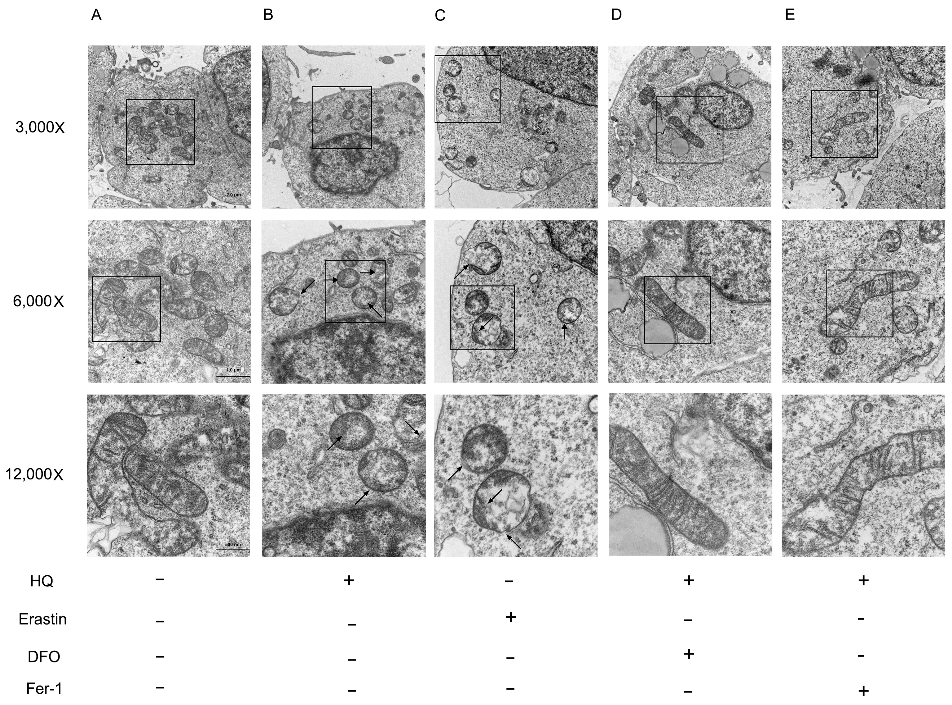 Toxics 12 00644 g007