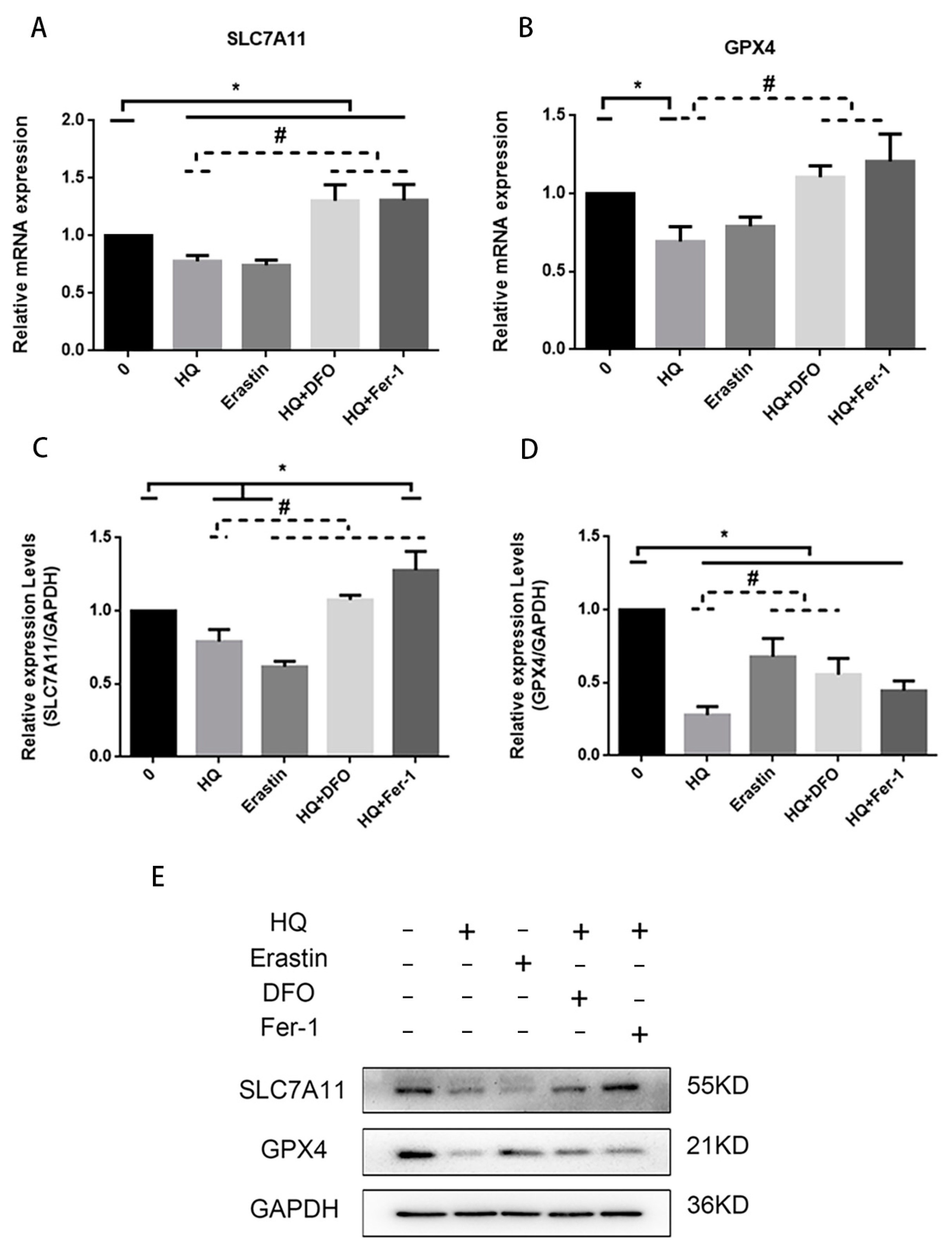 Toxics 12 00644 g009