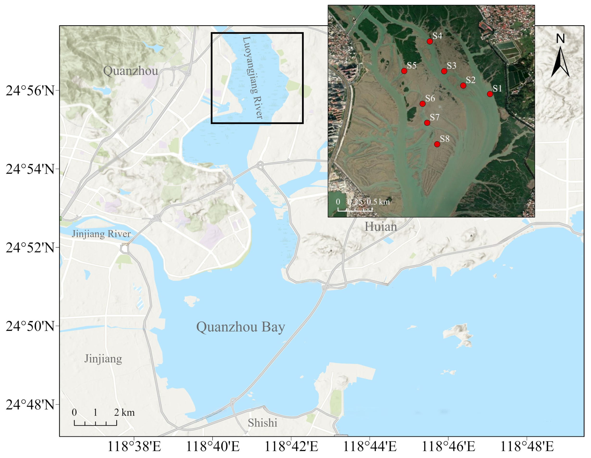 Toxics 12 00645 g001 Toxics 12 00645 g001
