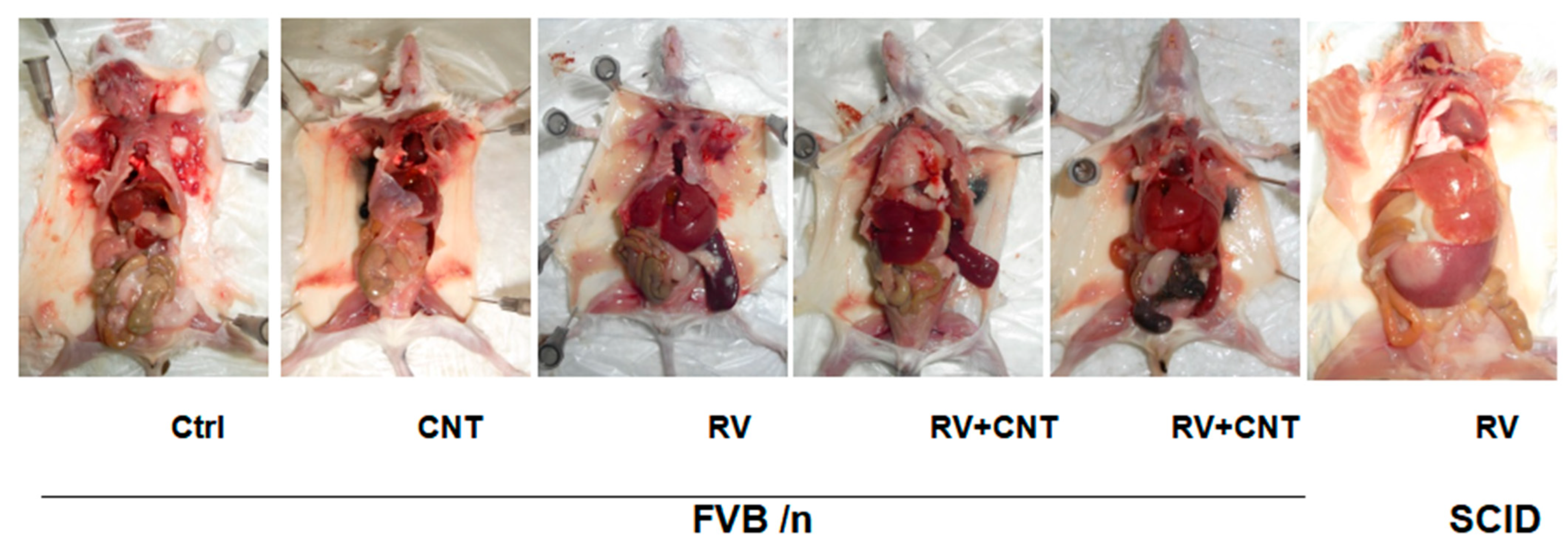 Toxics 12 00646 g003