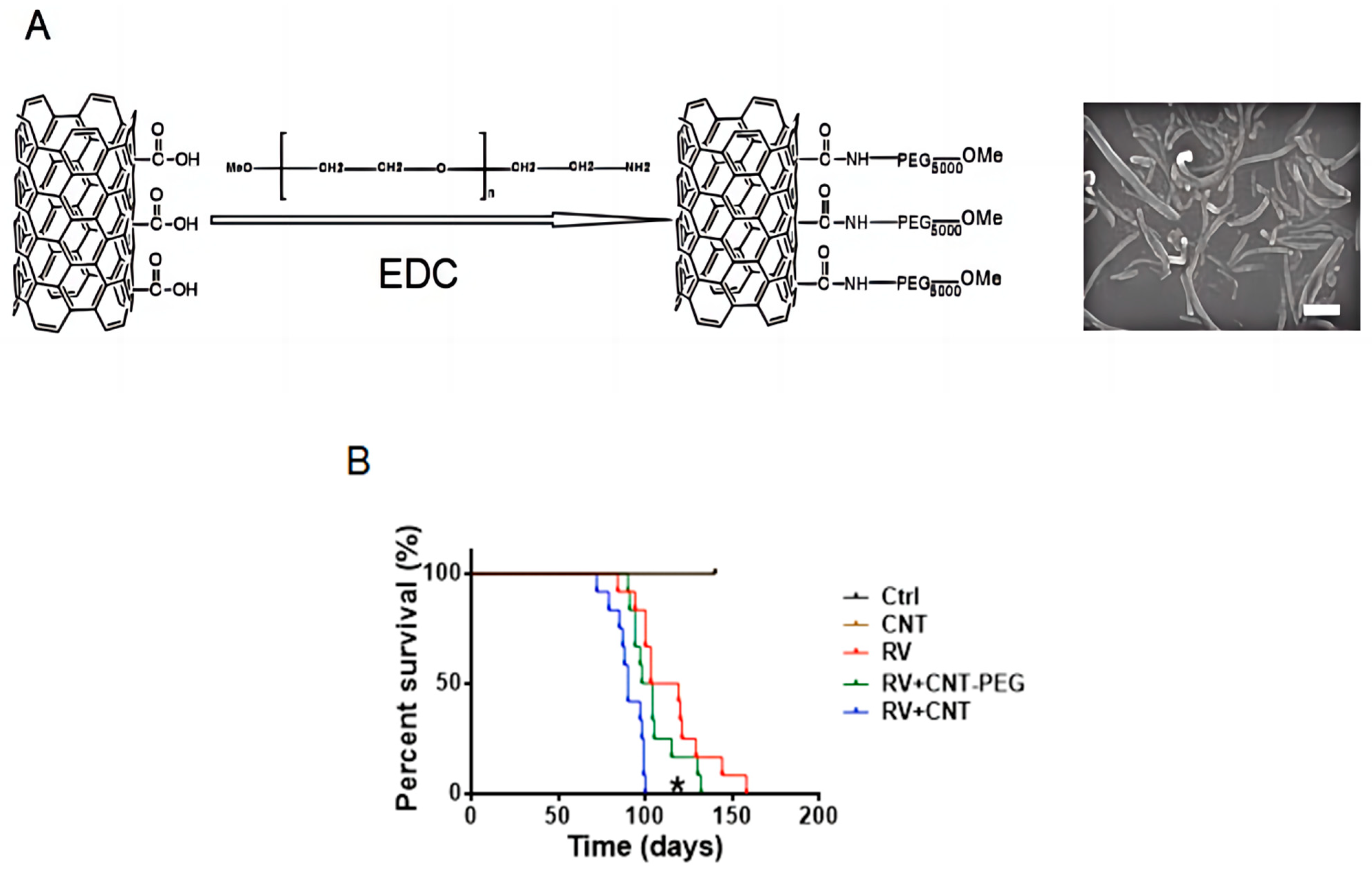 Toxics 12 00646 g007
