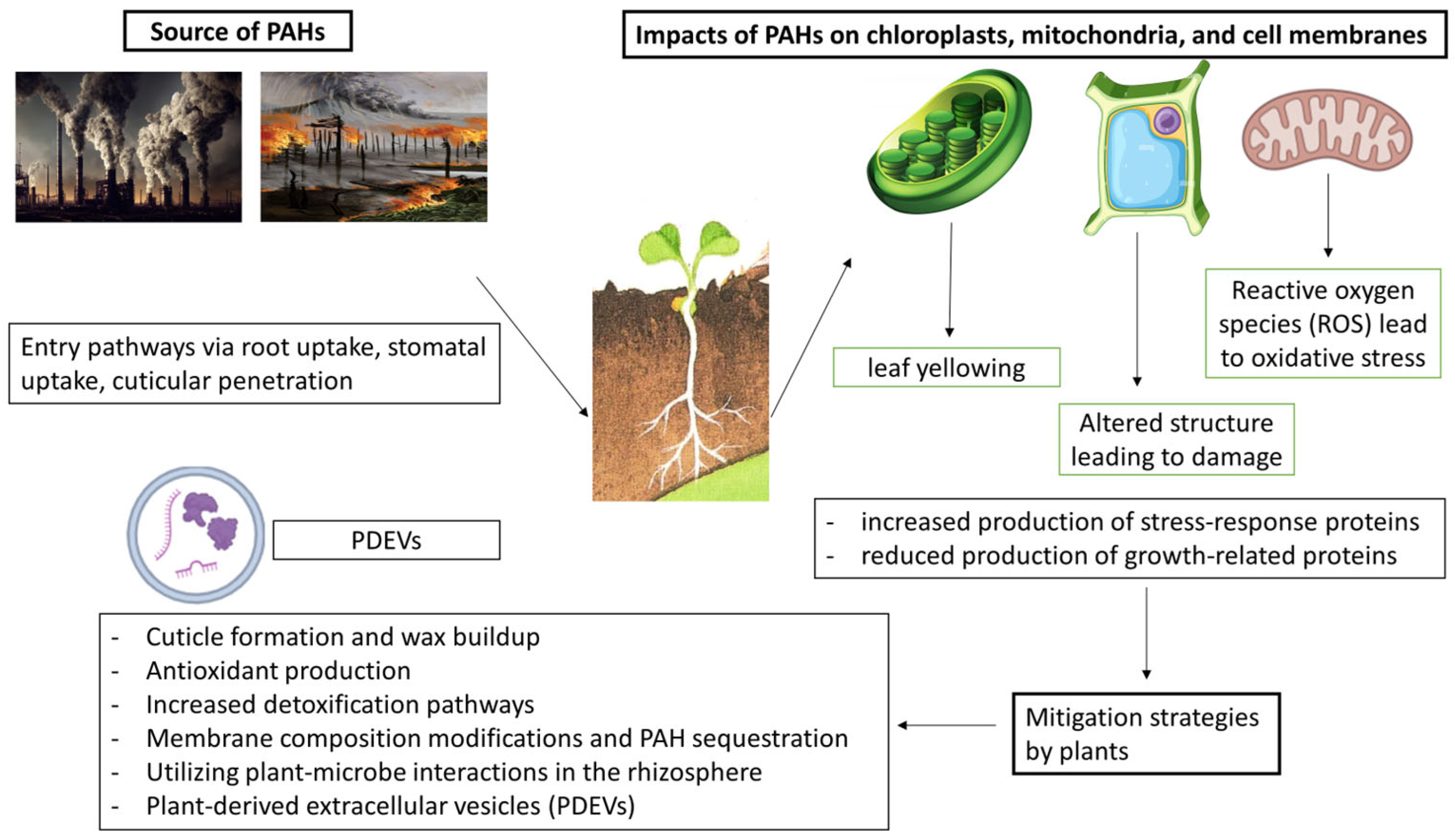 Toxics 12 00653 g002
