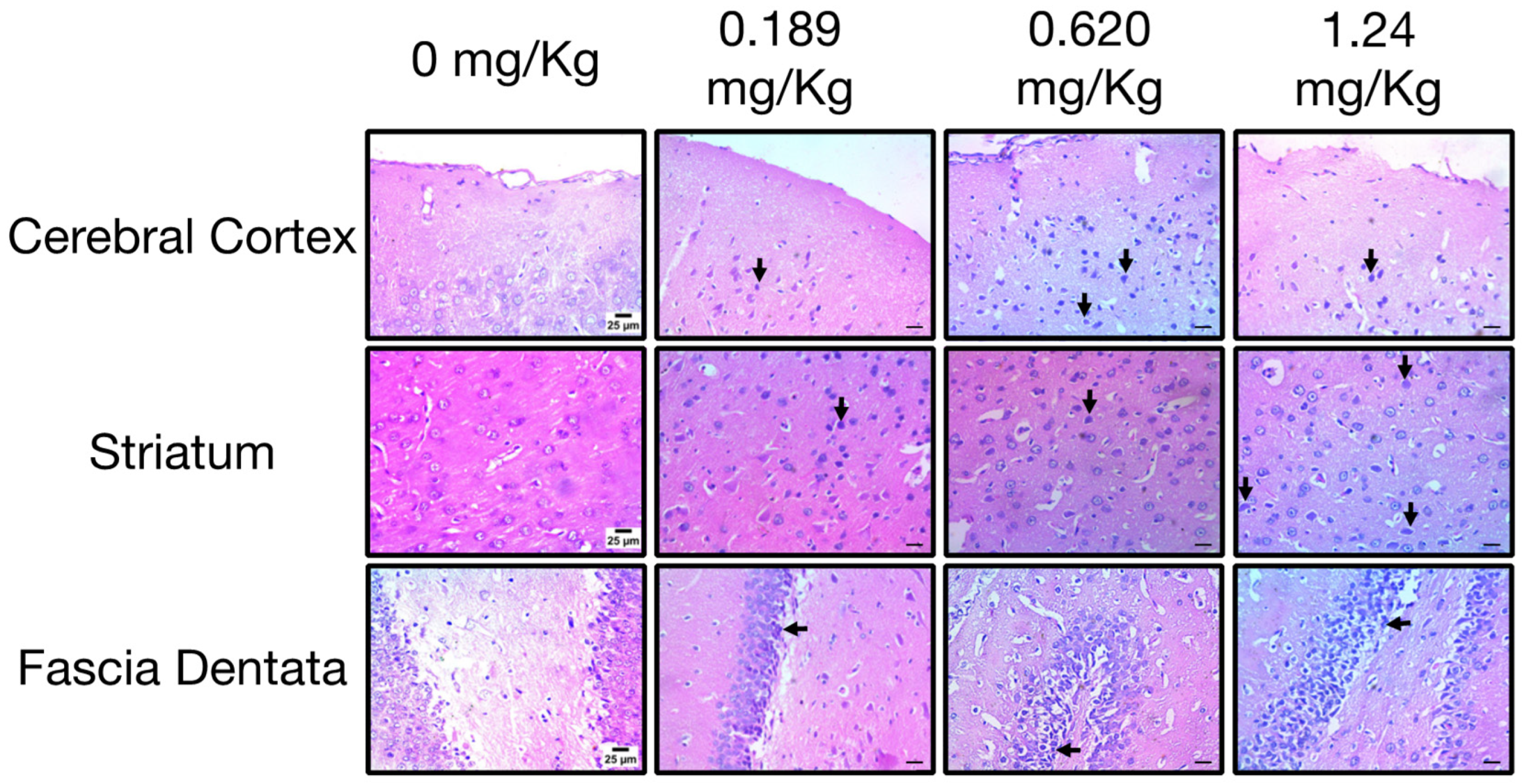 Toxics 12 00655 g005 Toxics 12 00655 g005