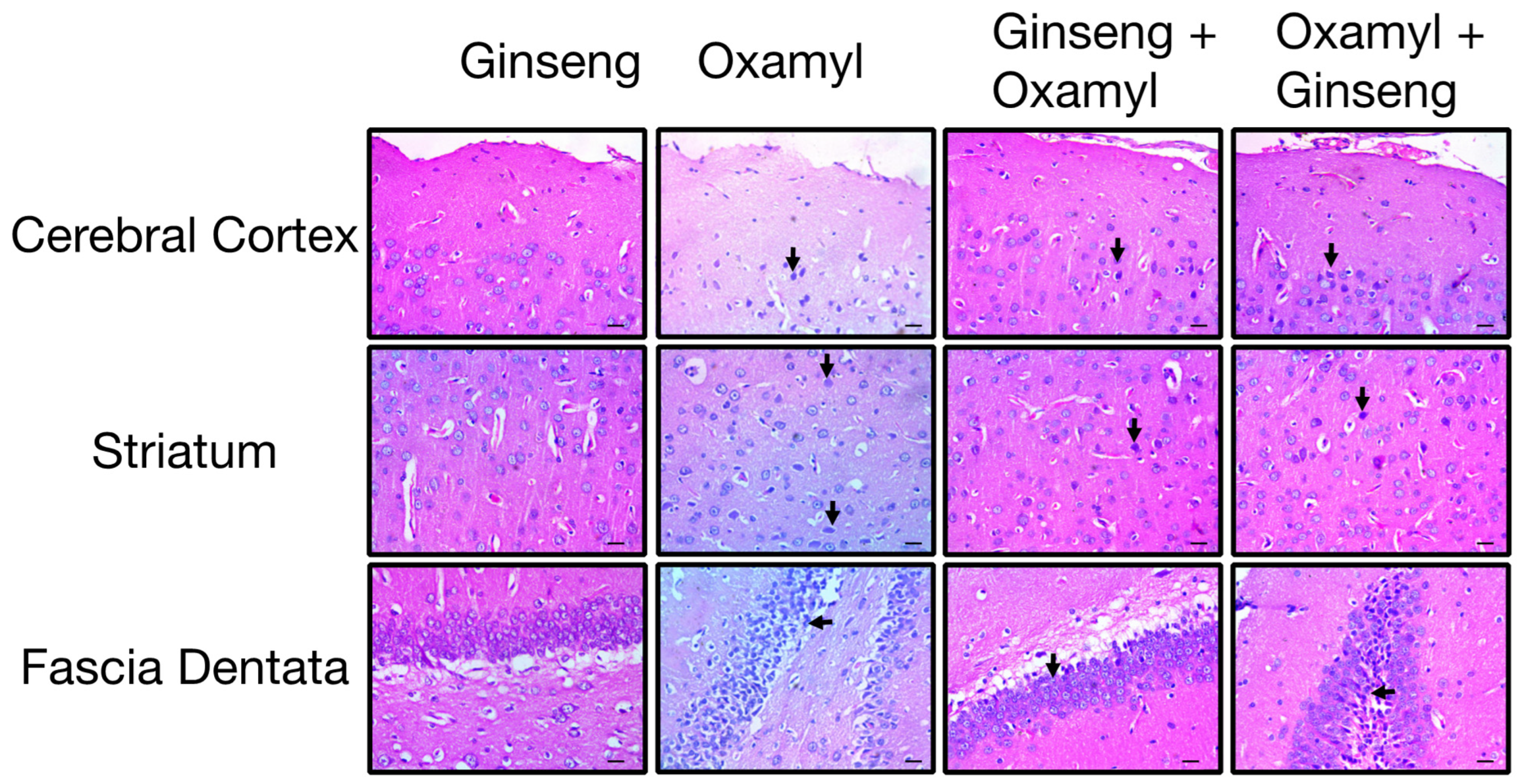 Toxics 12 00655 g009 Toxics 12 00655 g009