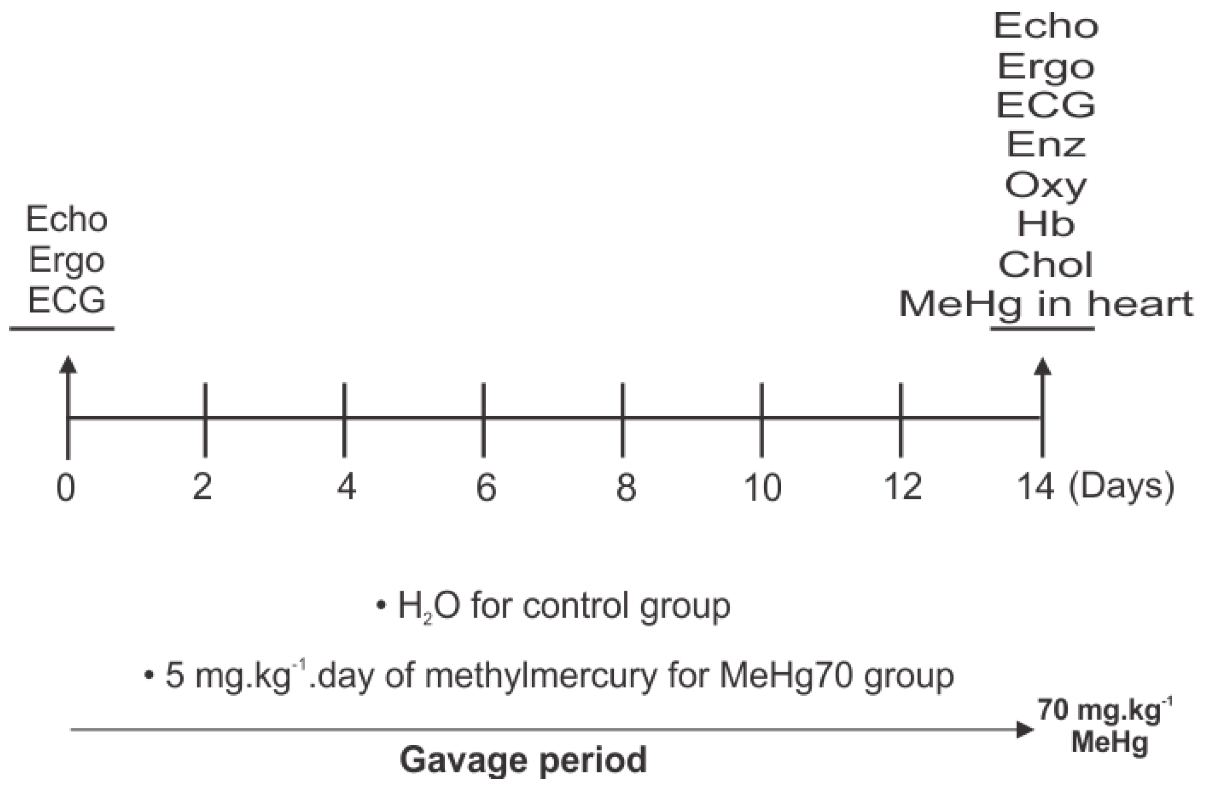 Toxics 12 00712 g001 Toxics 12 00712 g001