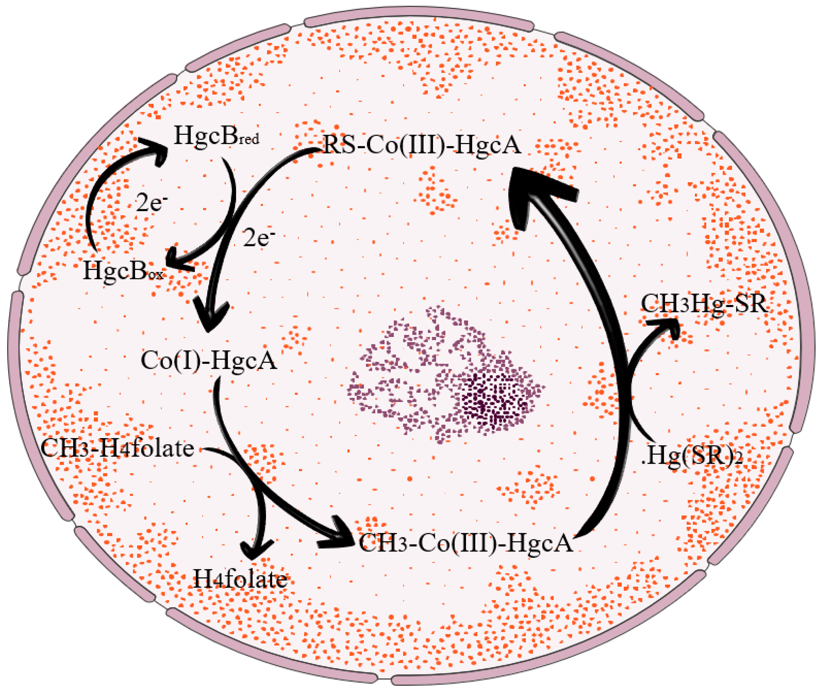 Toxics 12 00715 g001