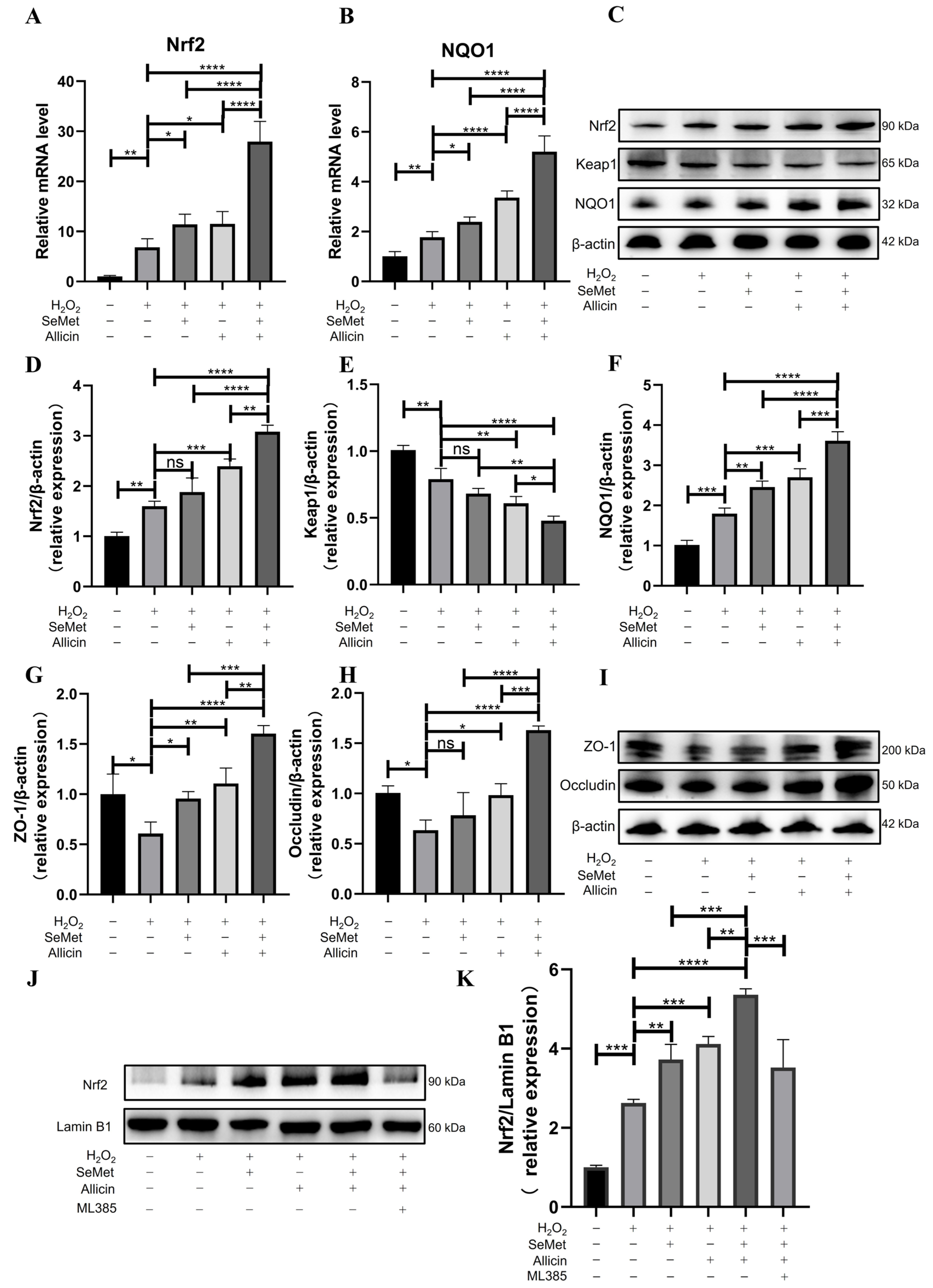 Toxics 12 00719 g004