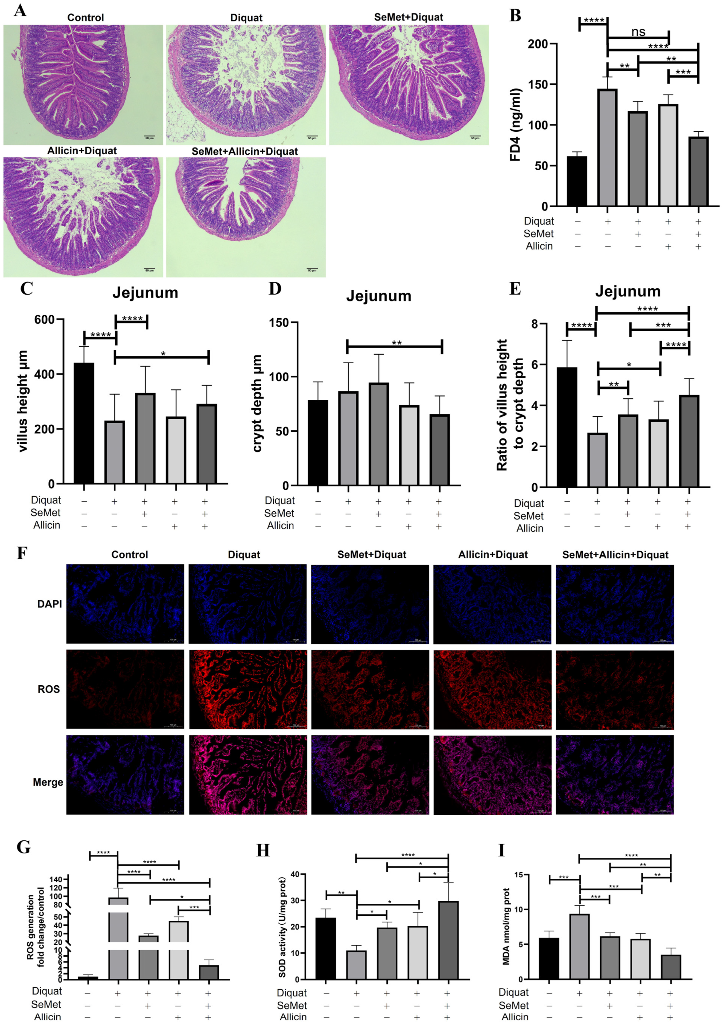Toxics 12 00719 g009