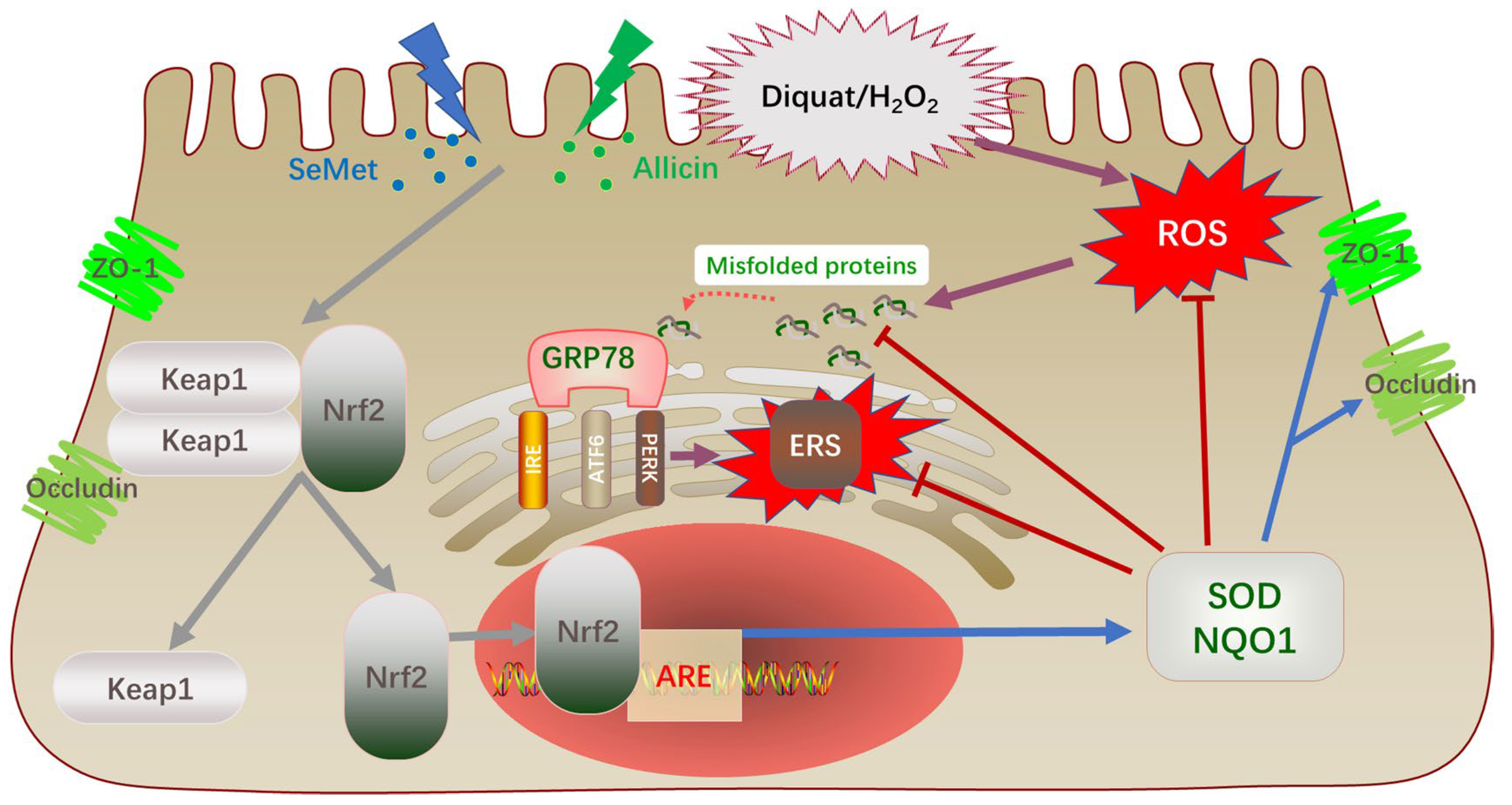 Toxics 12 00719 g011