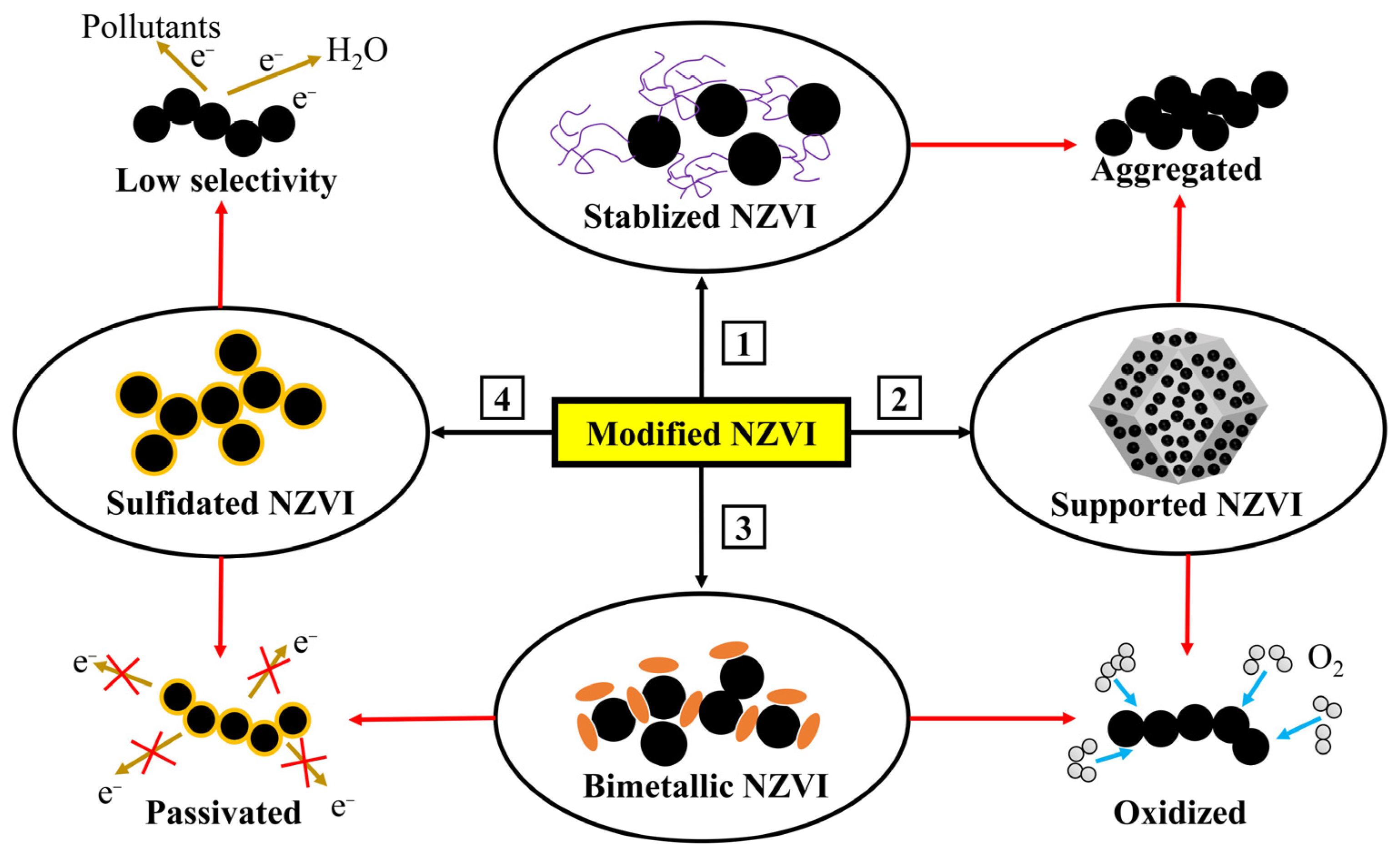 Toxics 12 00721 g003