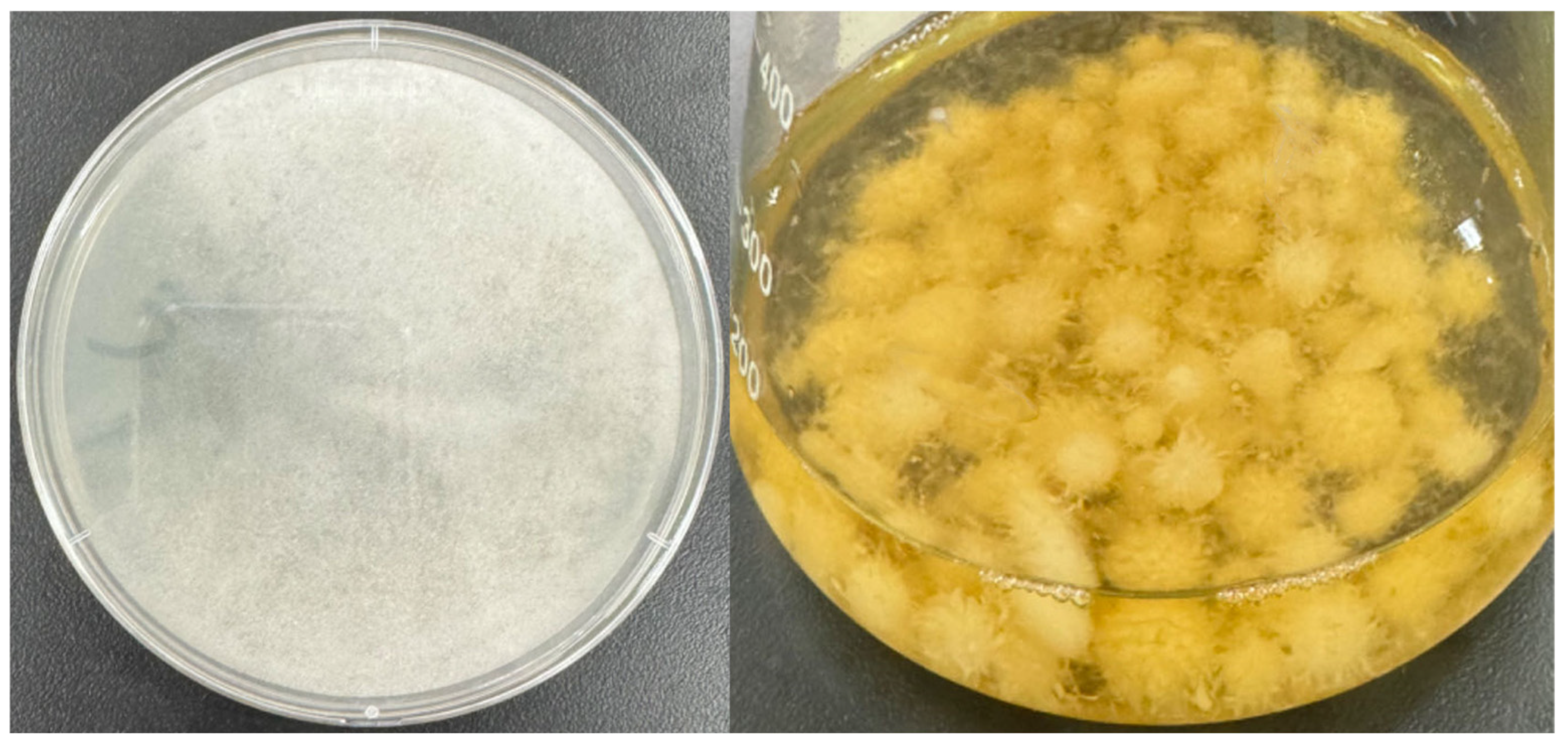 Toxics 12 00721 g005