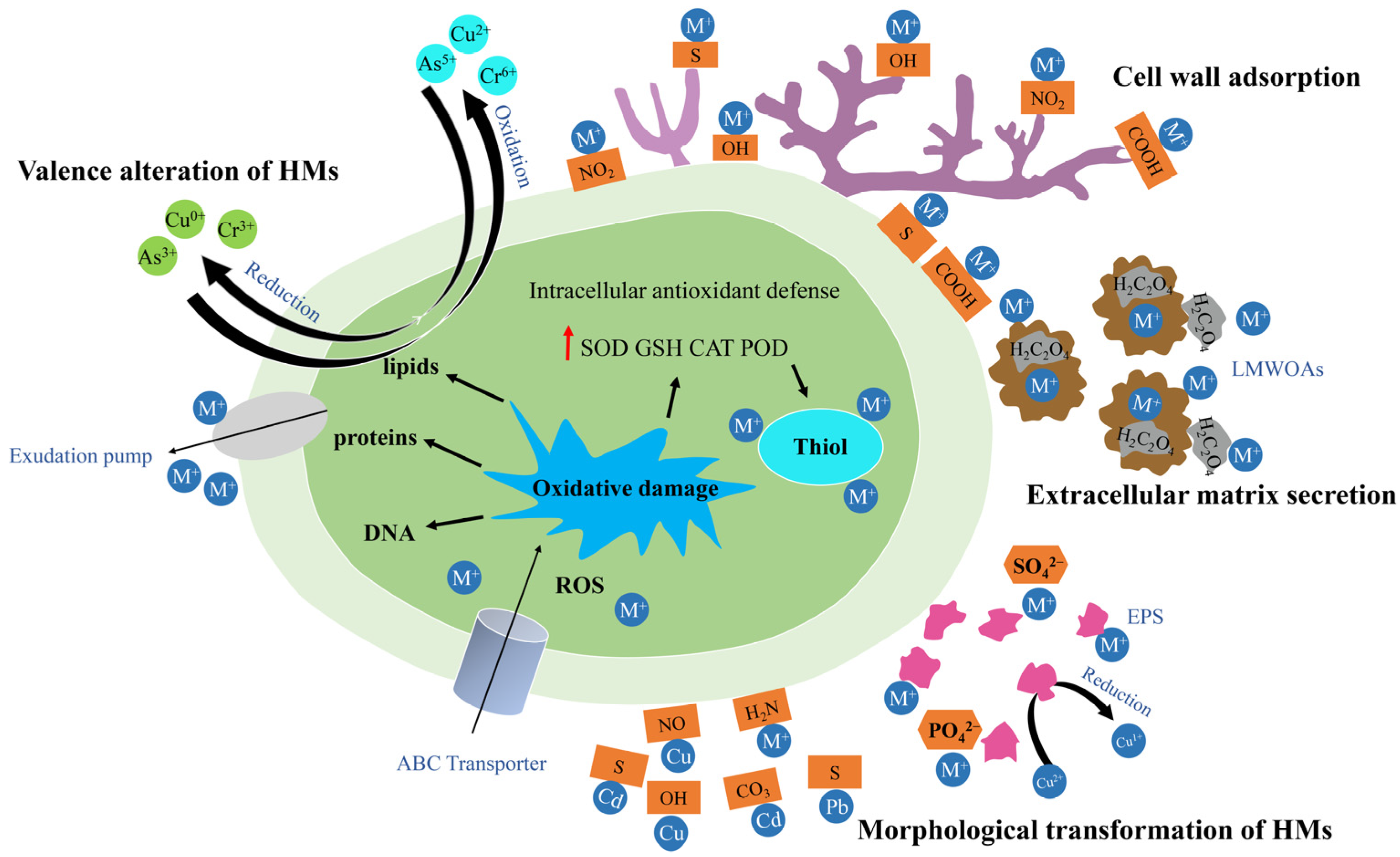 Toxics 12 00721 g007