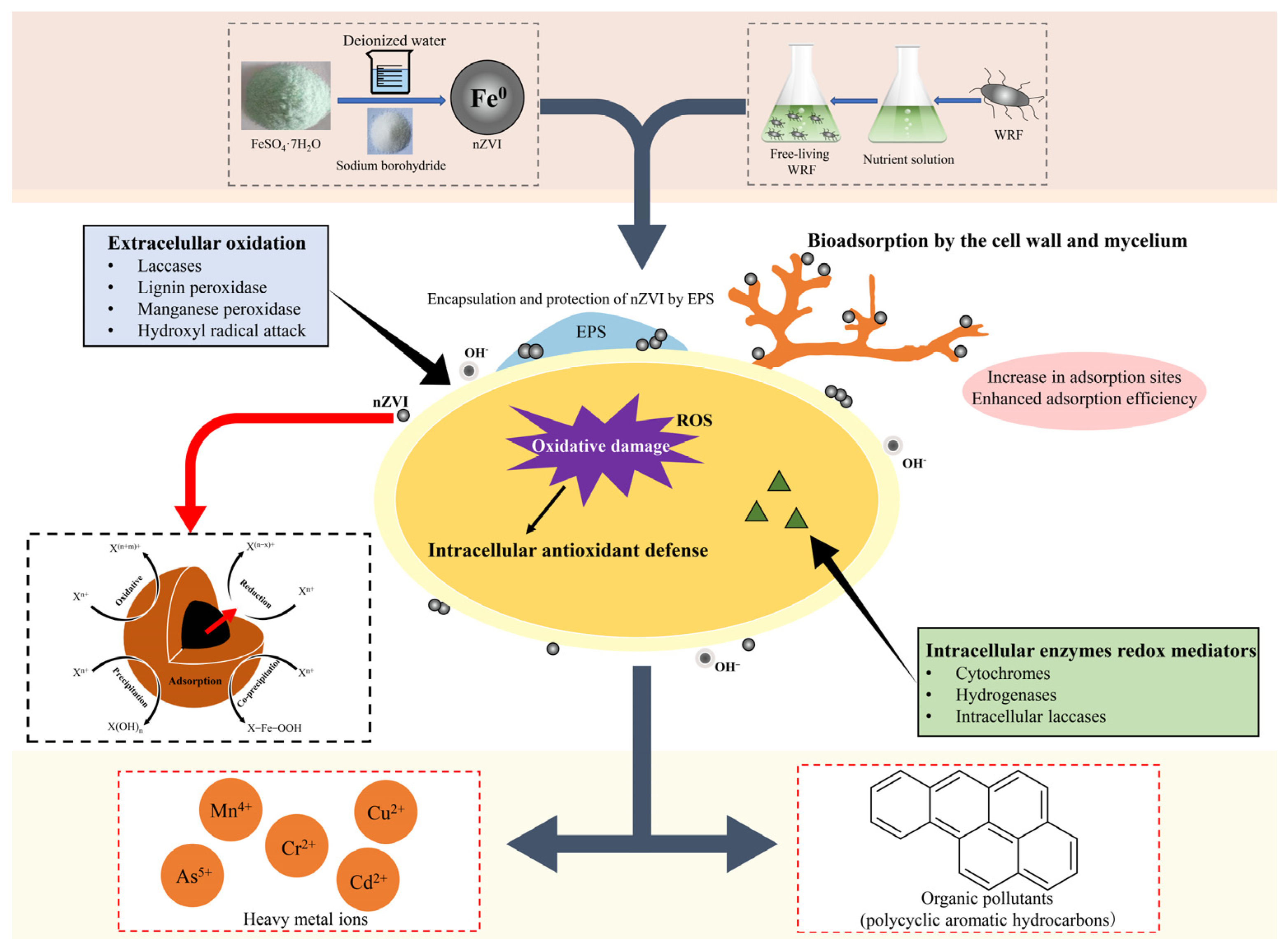 Toxics 12 00721 g008