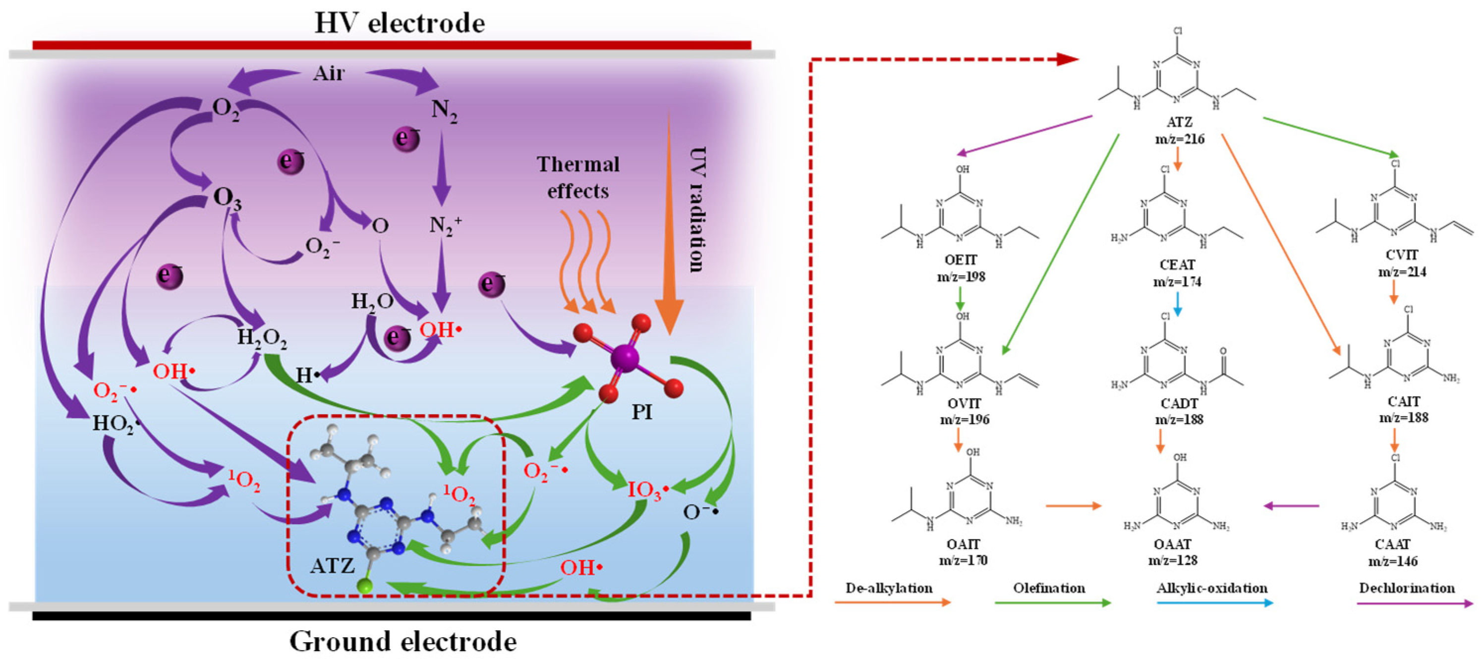 Toxics 12 00746 g011