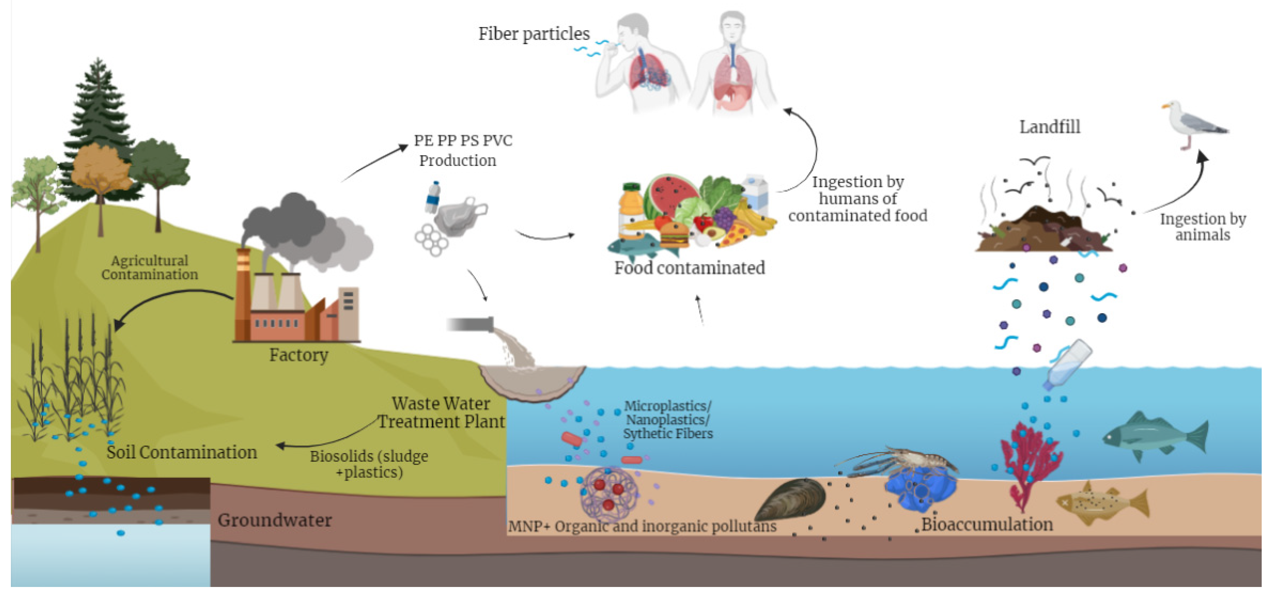 Toxics 12 00762 g002