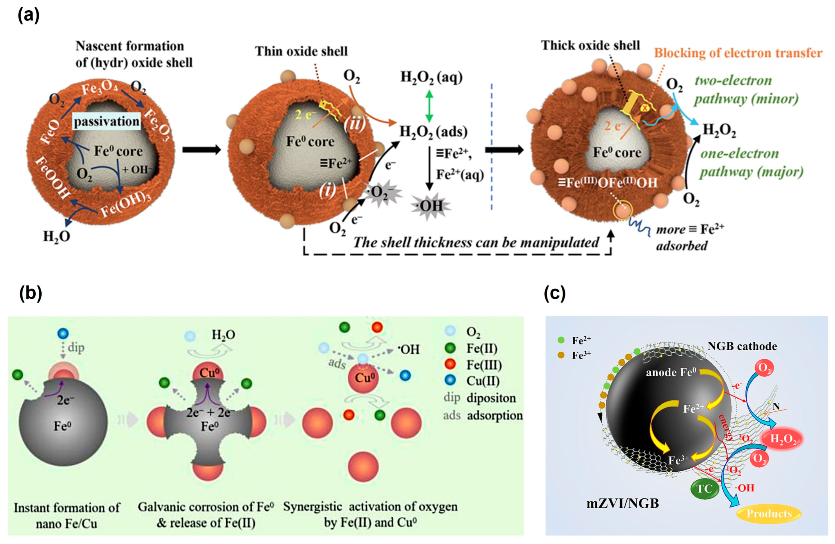 Toxics 12 00773 g001