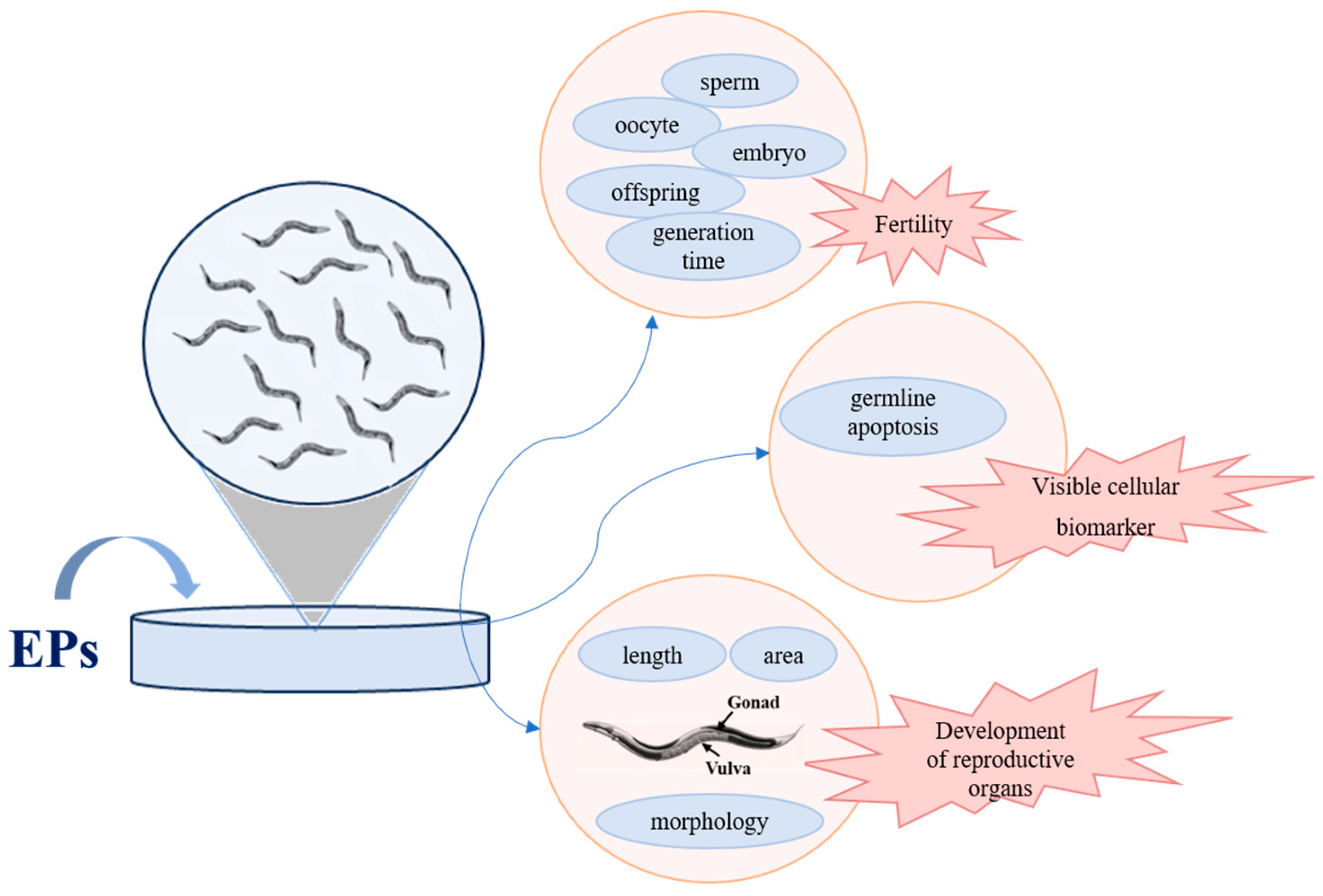Toxics 12 00785 g002
