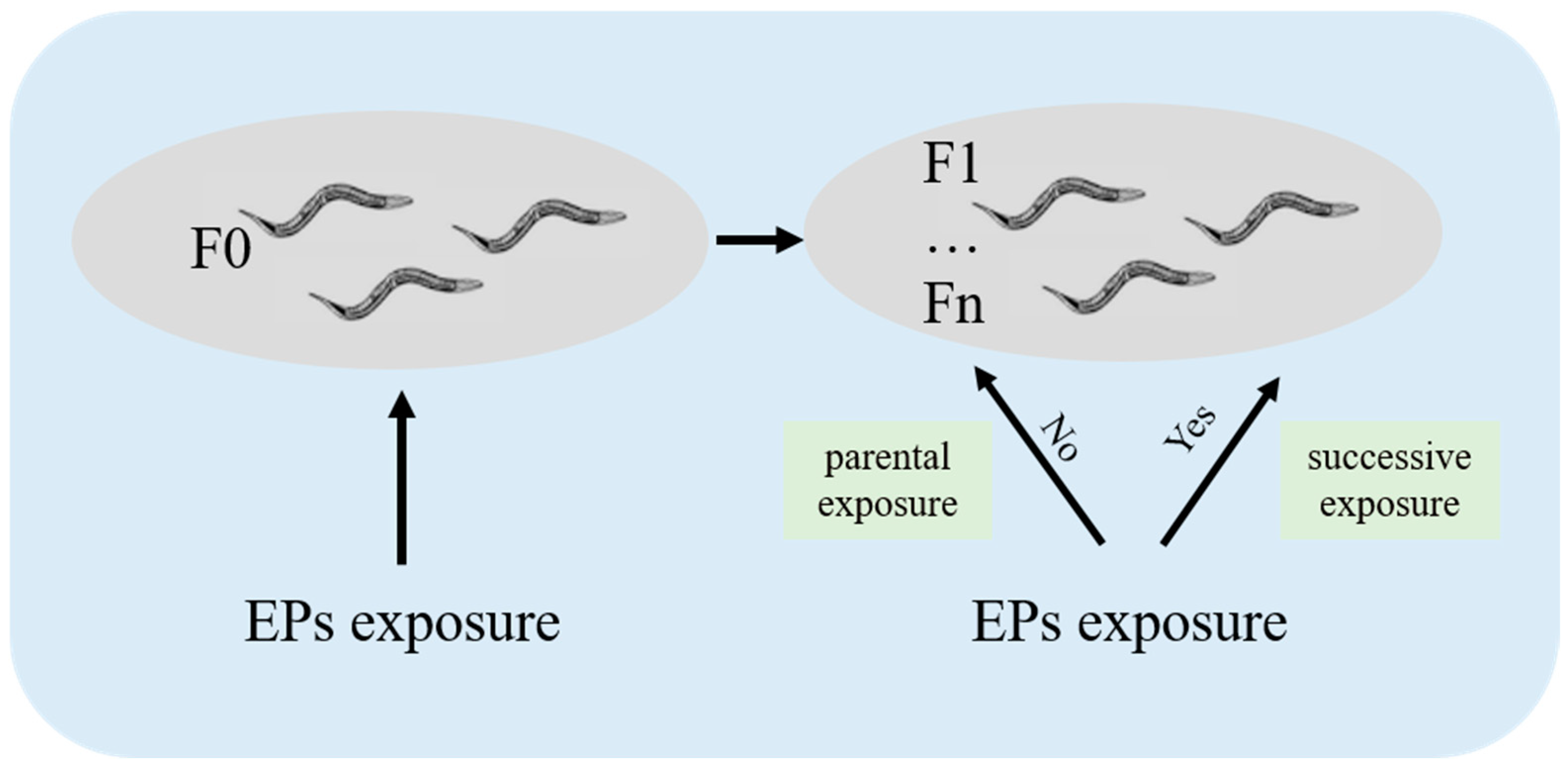 Toxics 12 00785 g003