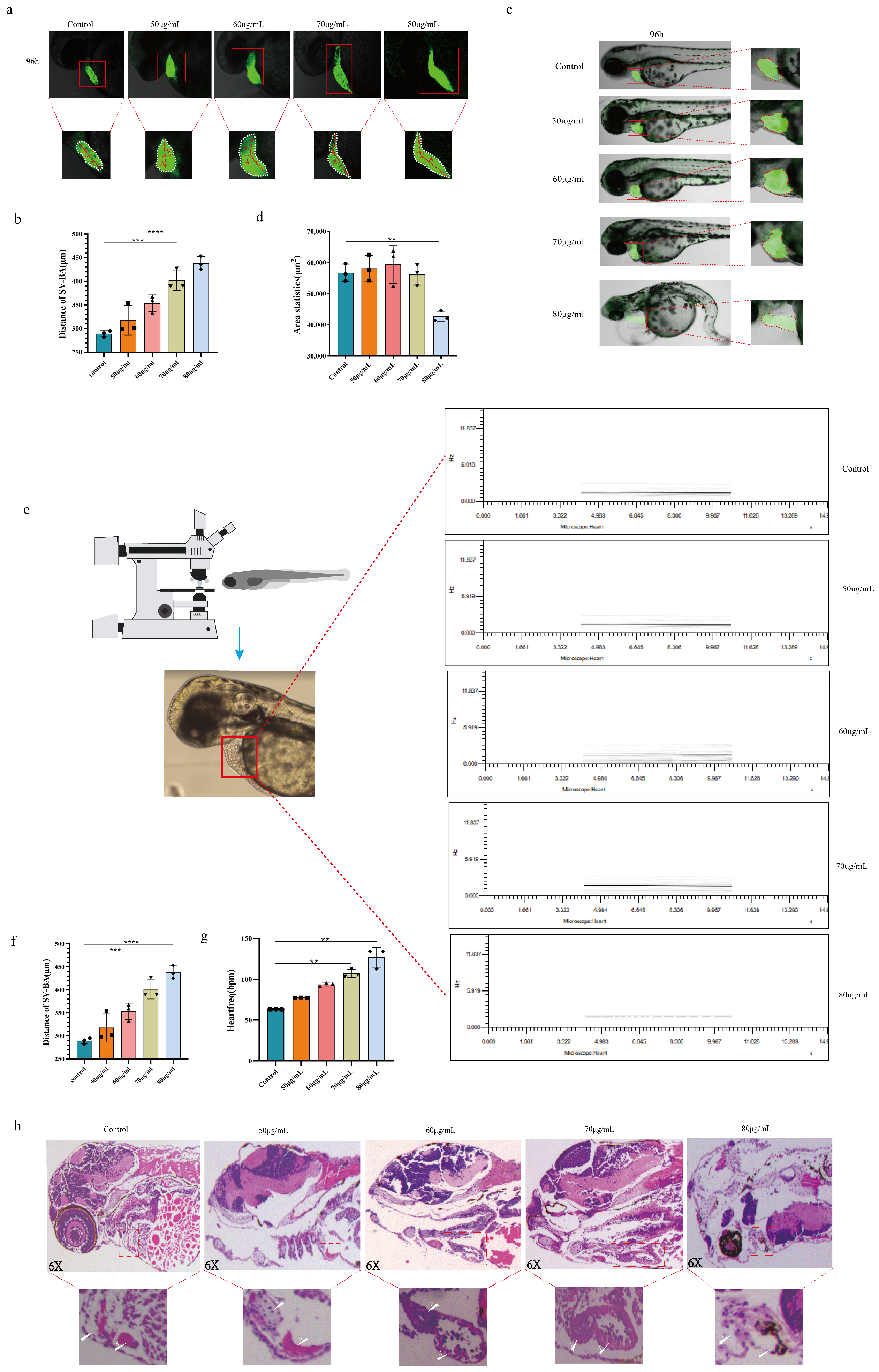 Toxics 12 00799 g003