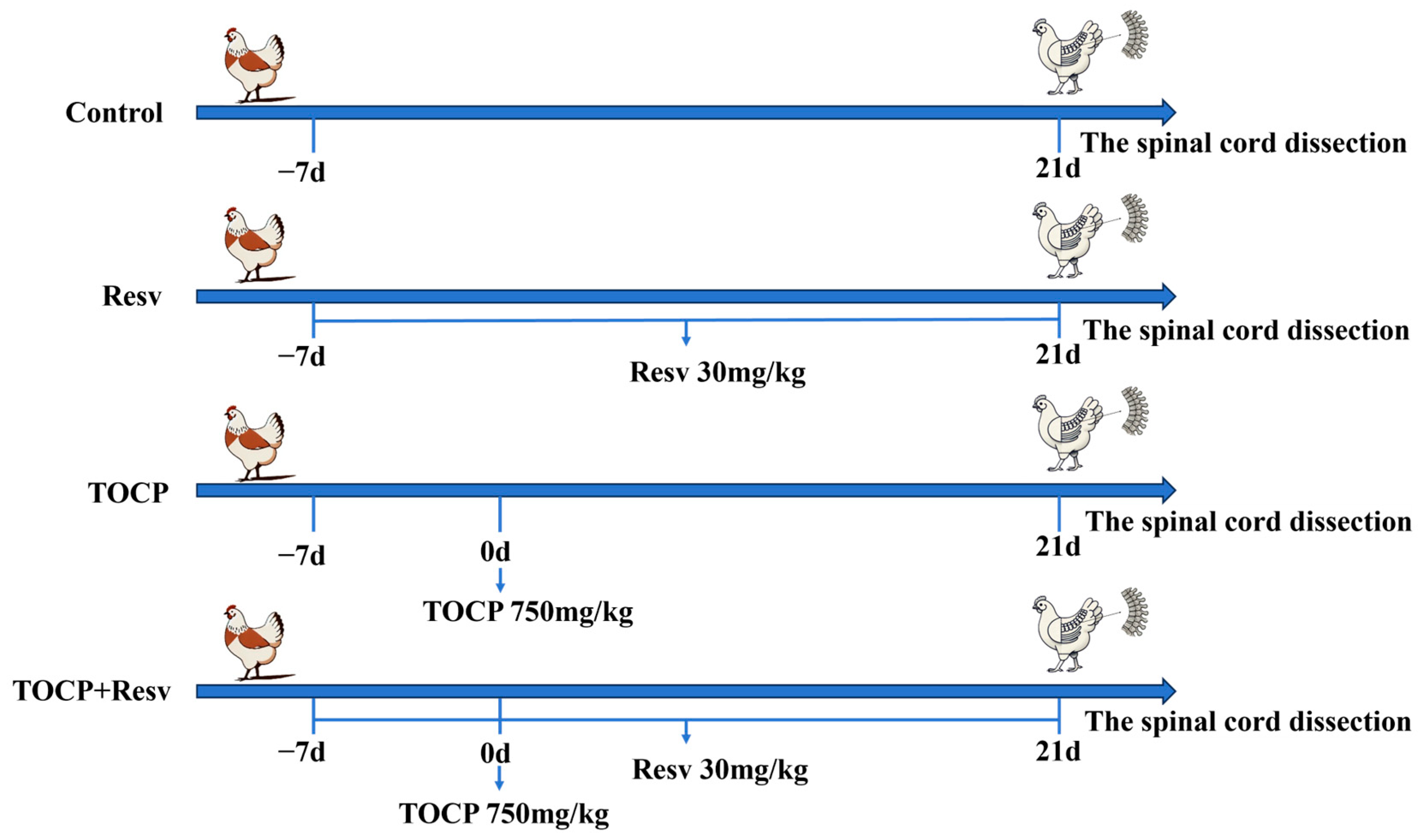 Toxics 12 00810 g002