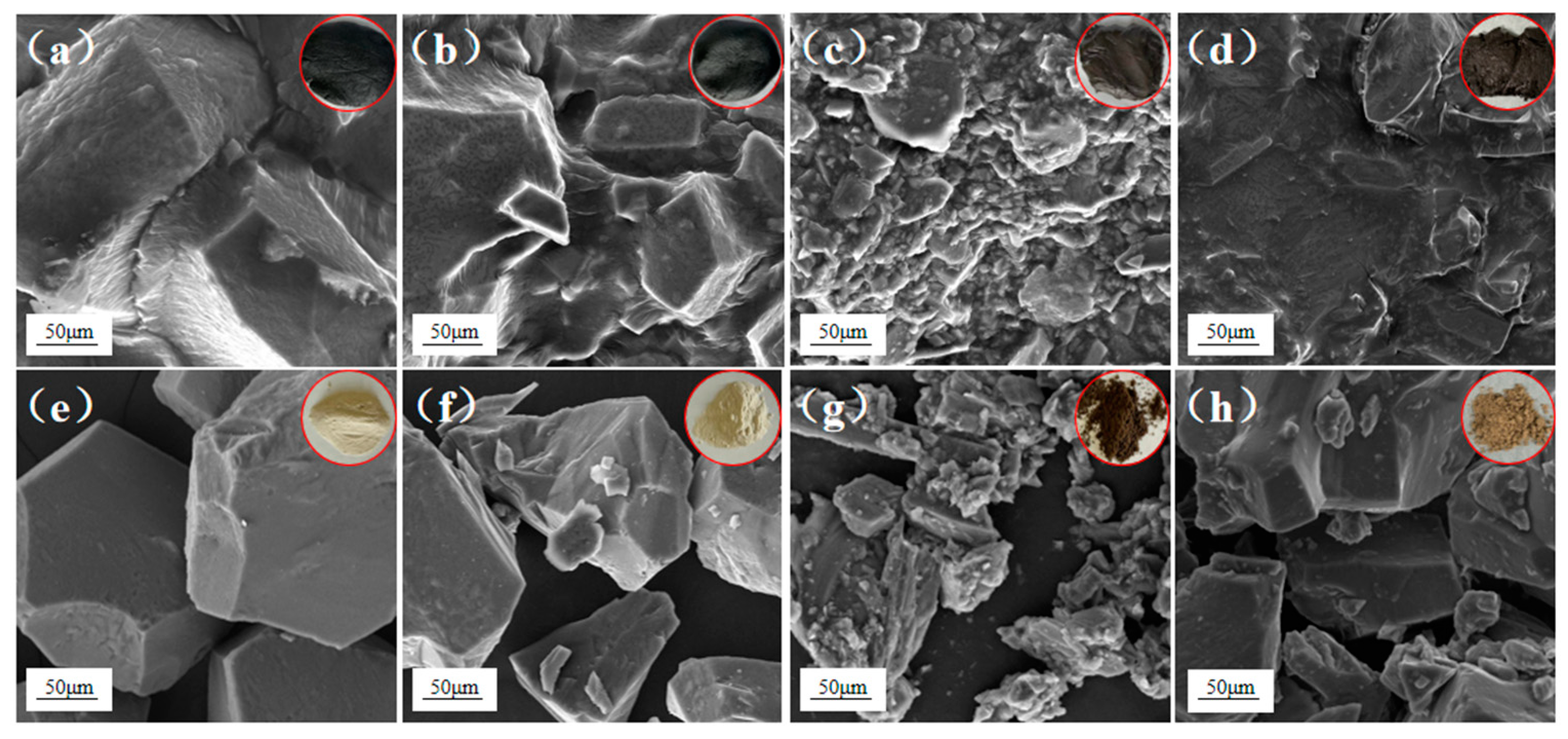 Toxics 12 00880 g006