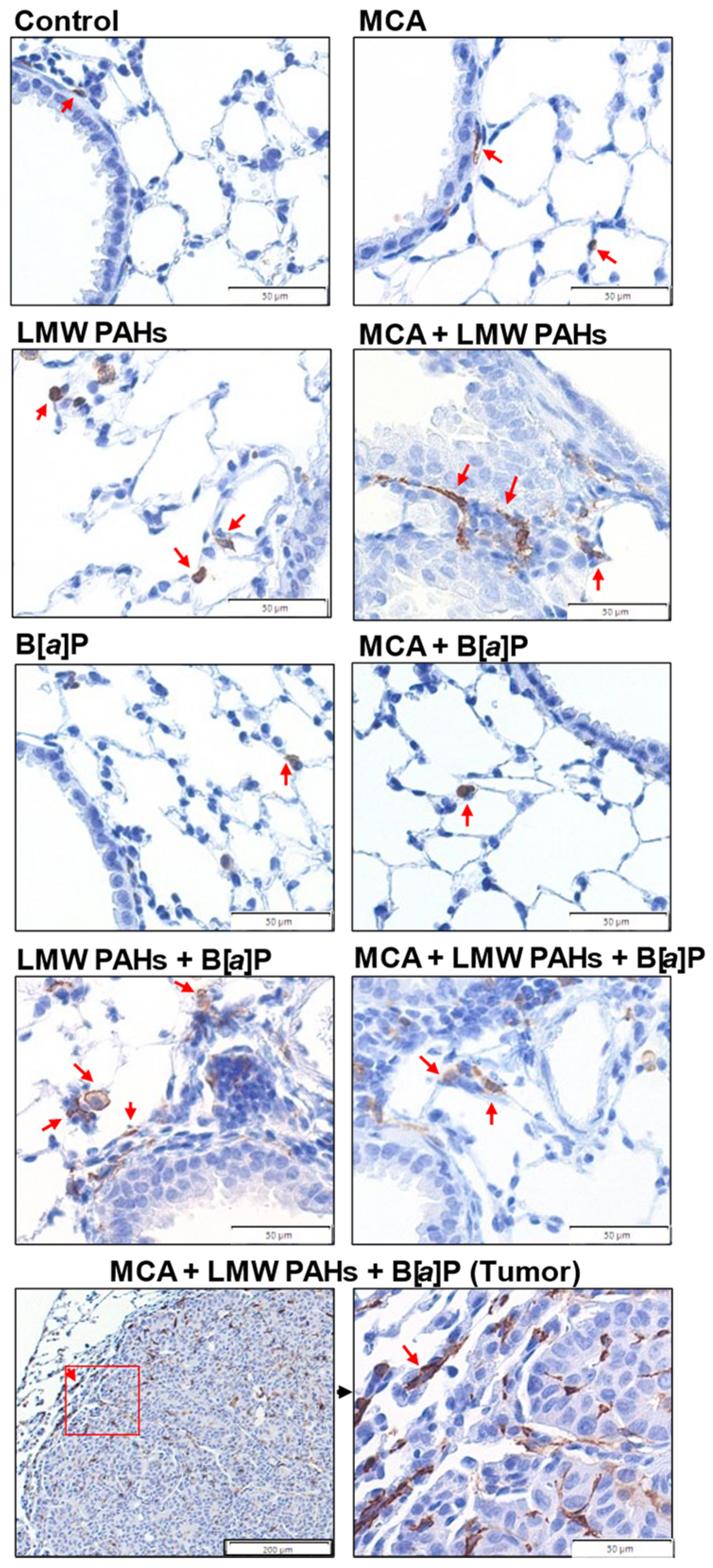 Toxics 12 00882 g004
