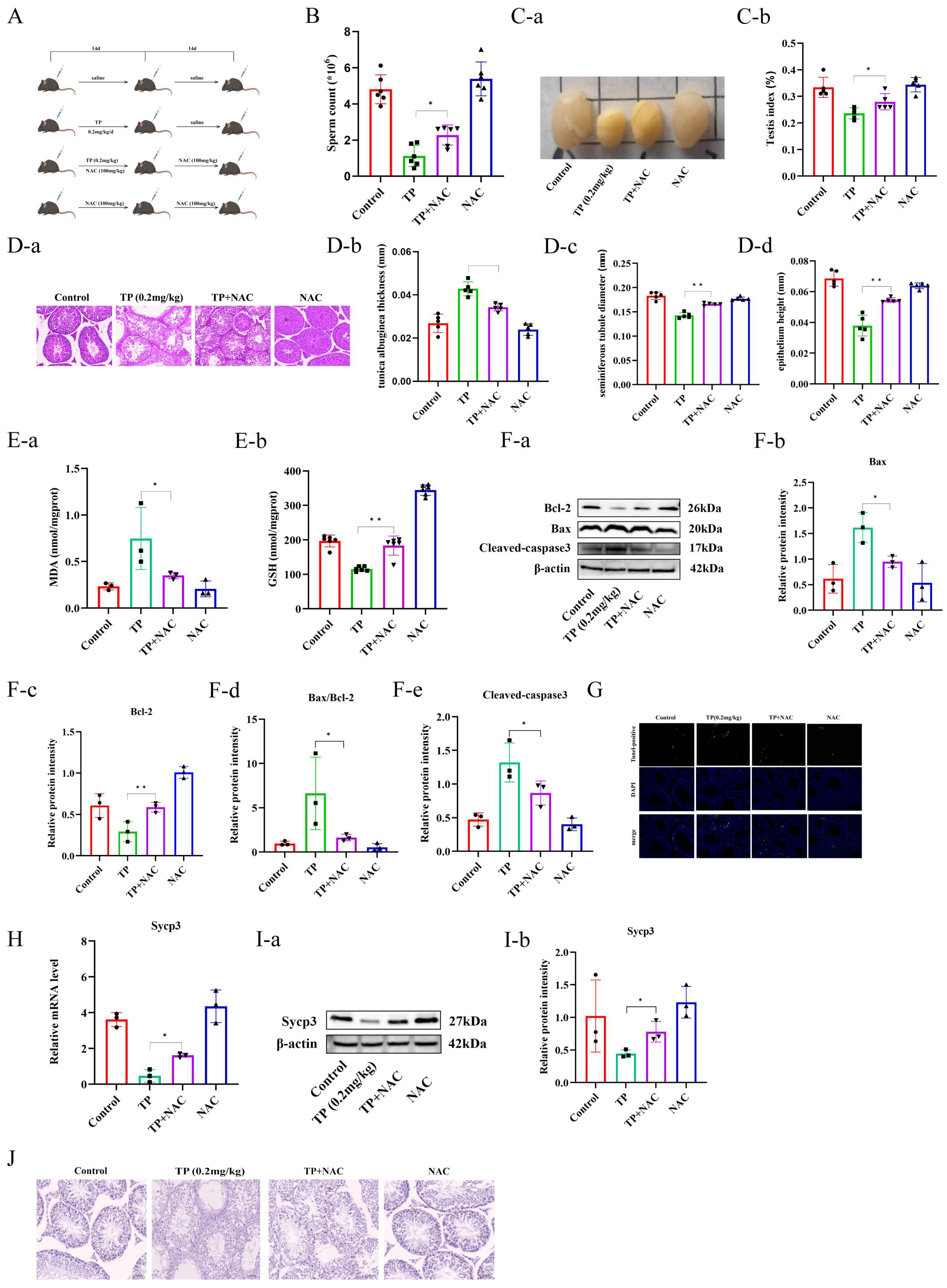 Toxics 12 00896 g005