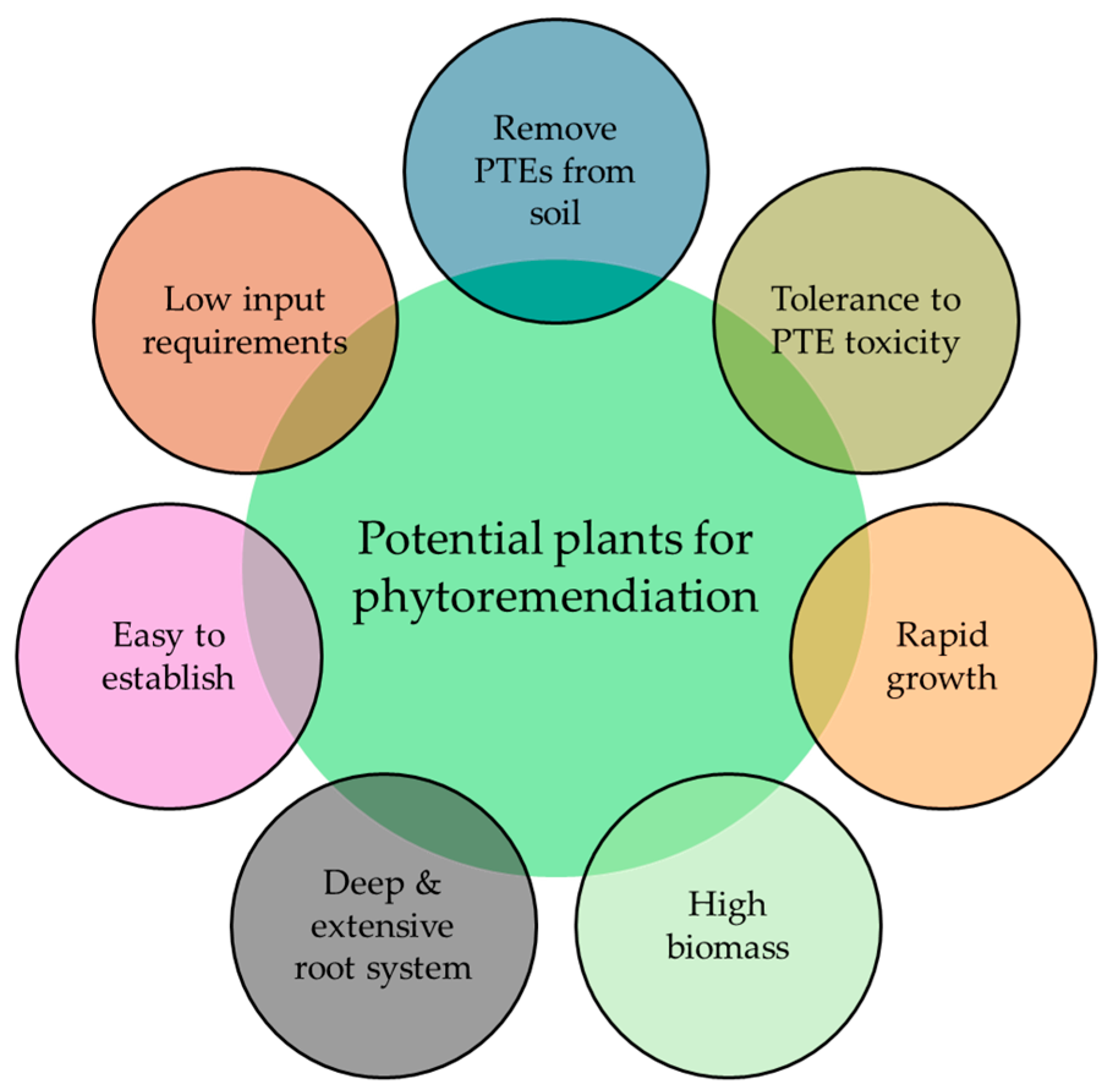 Toxics 12 00914 g002