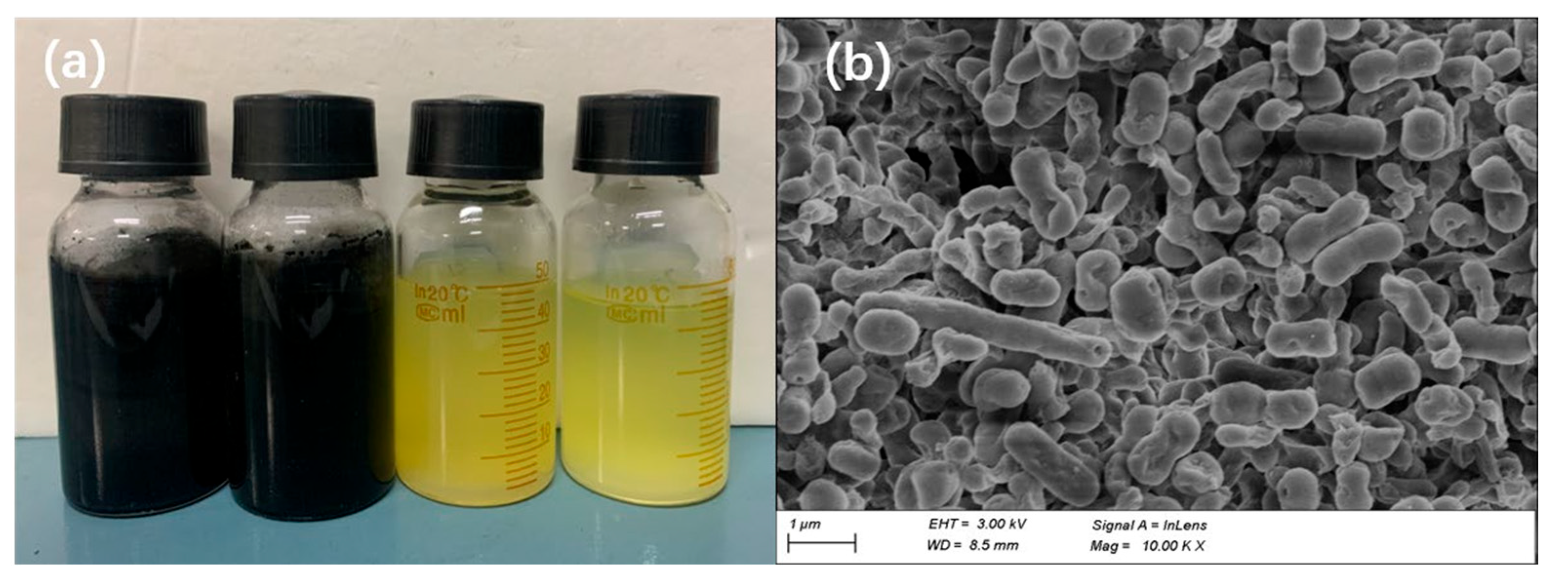 Toxics 13 00017 g0a1