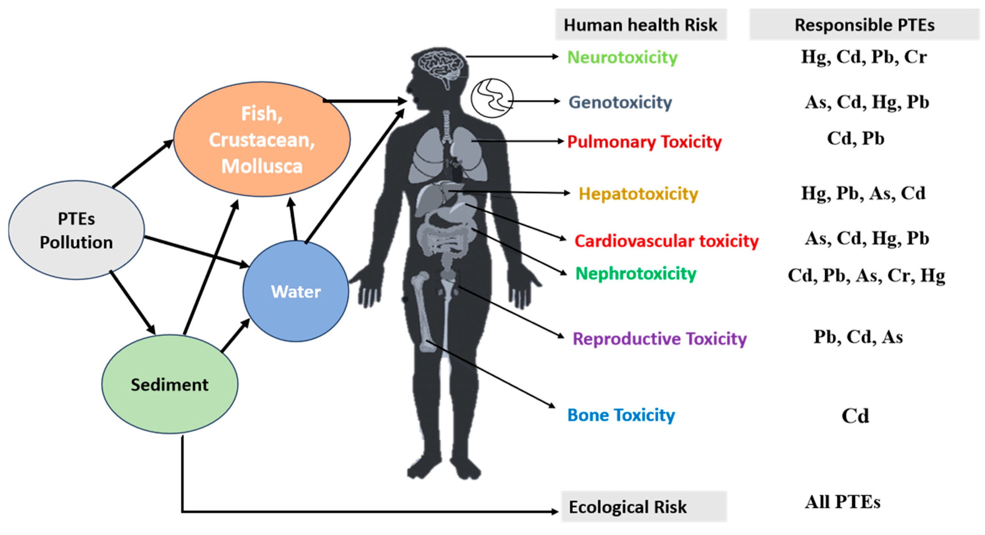 Toxics 13 00026 g007