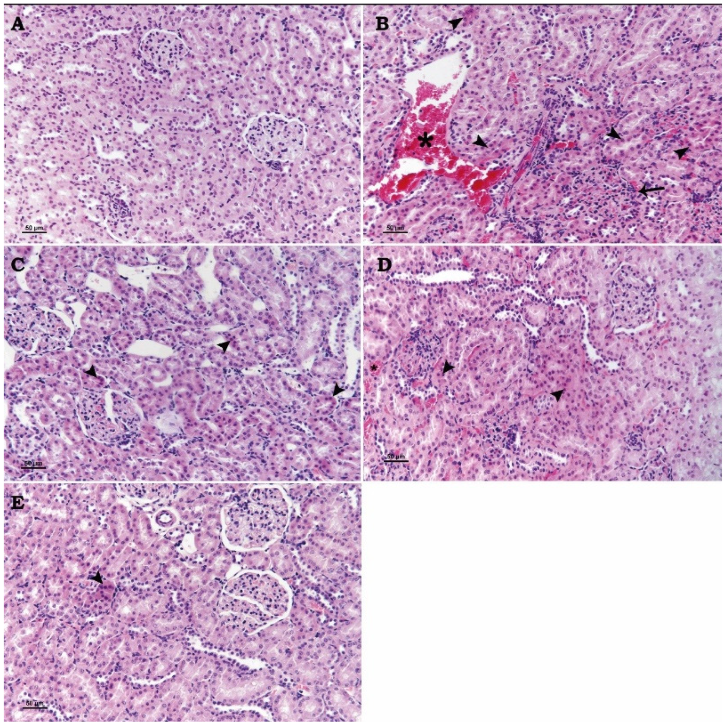 Toxics 13 00087 g001