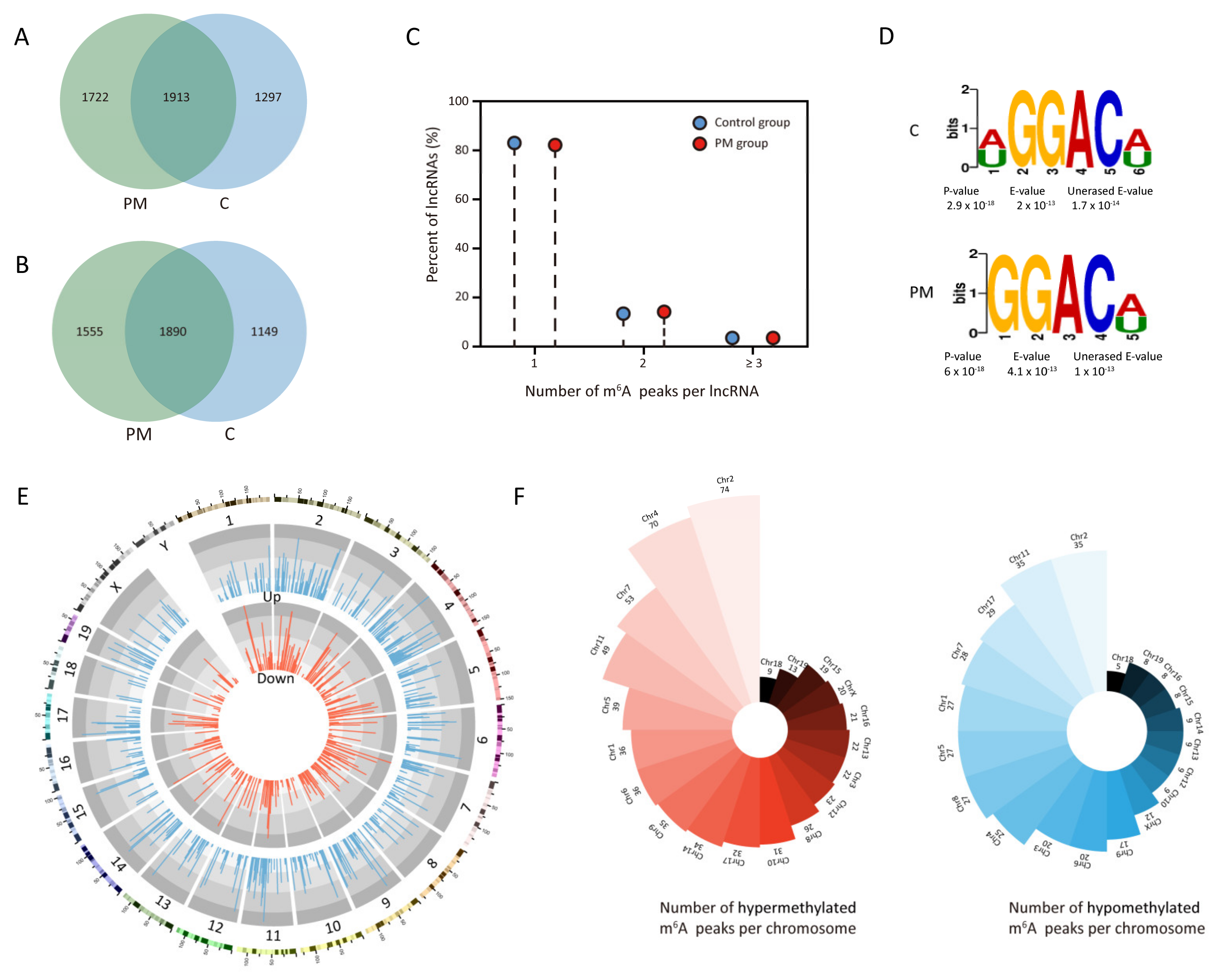 Toxics 13 00098 g001