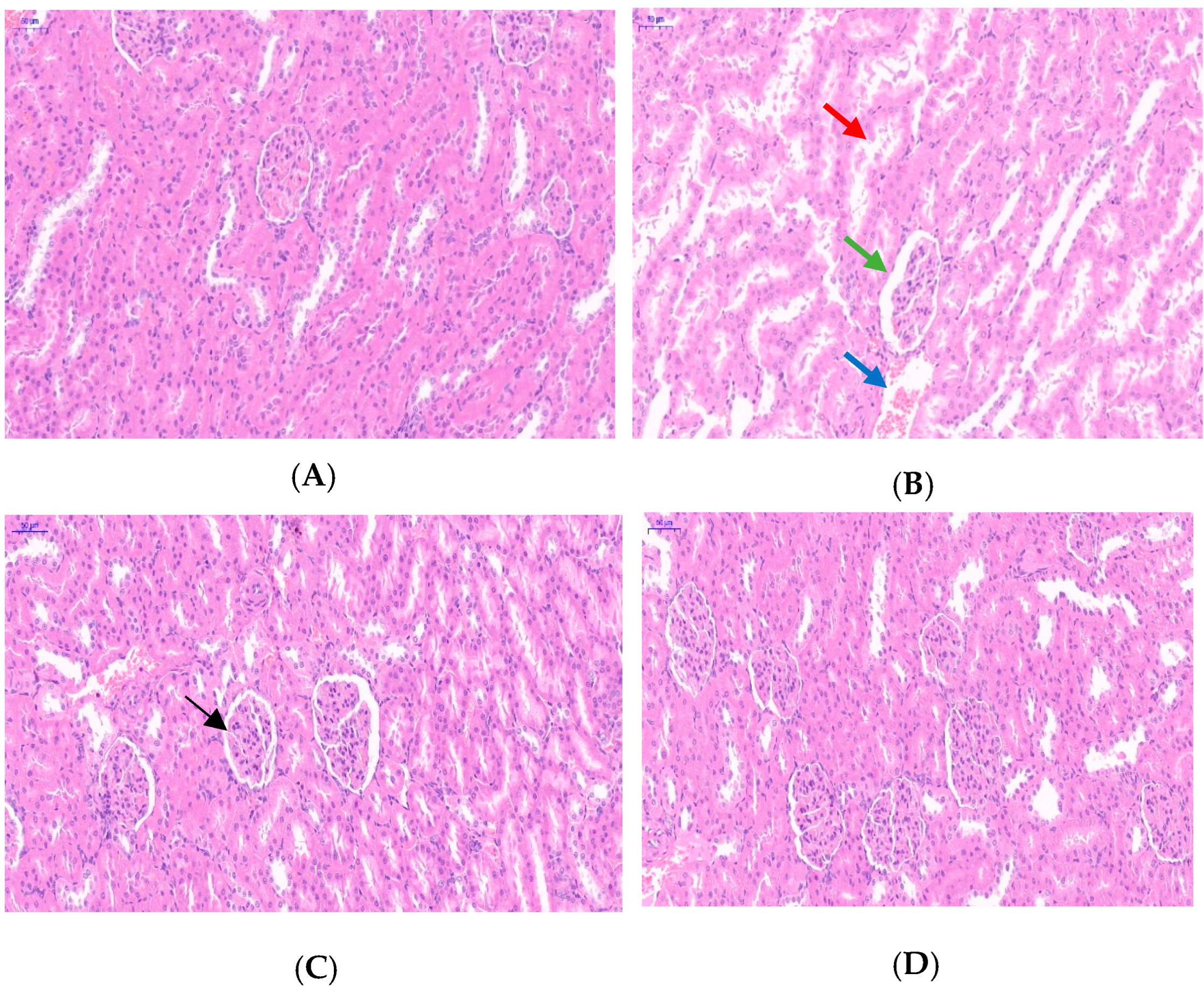 Toxics 13 00129 g002