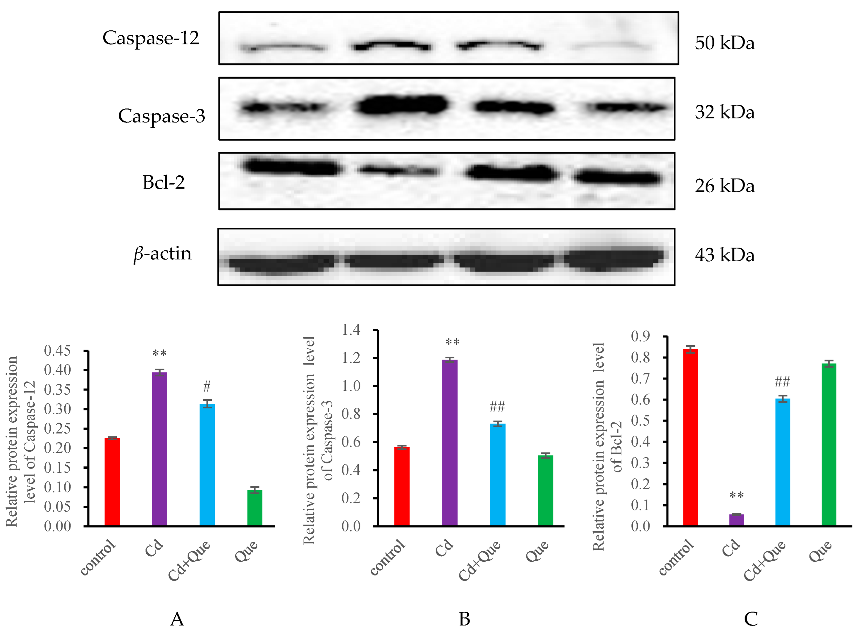 Toxics 13 00129 g005