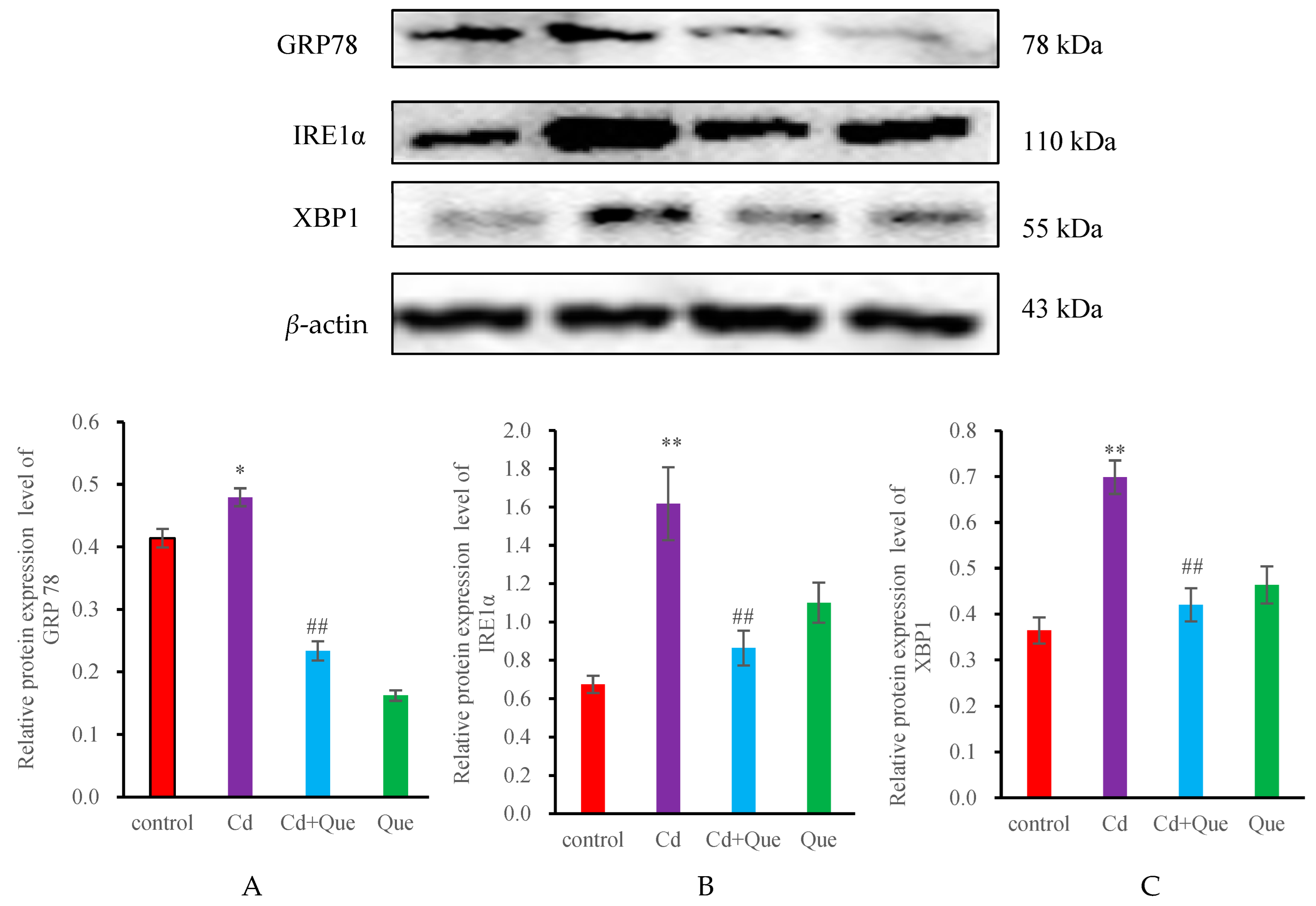 Toxics 13 00129 g007