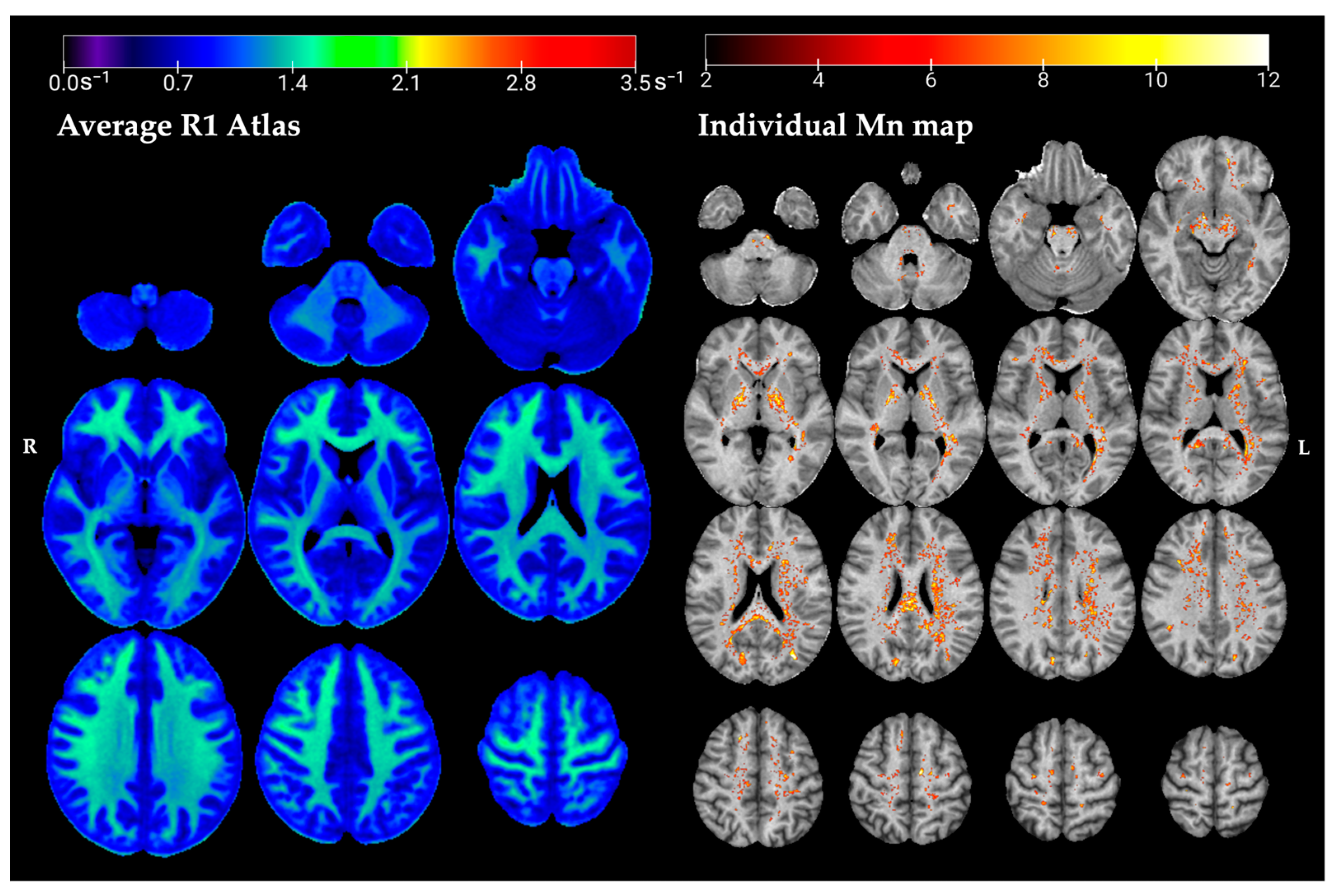 Toxics 13 00157 g002 Toxics 13 00157 g002