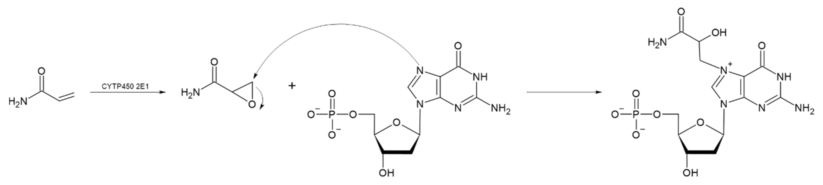 Toxics 13 00161 g005