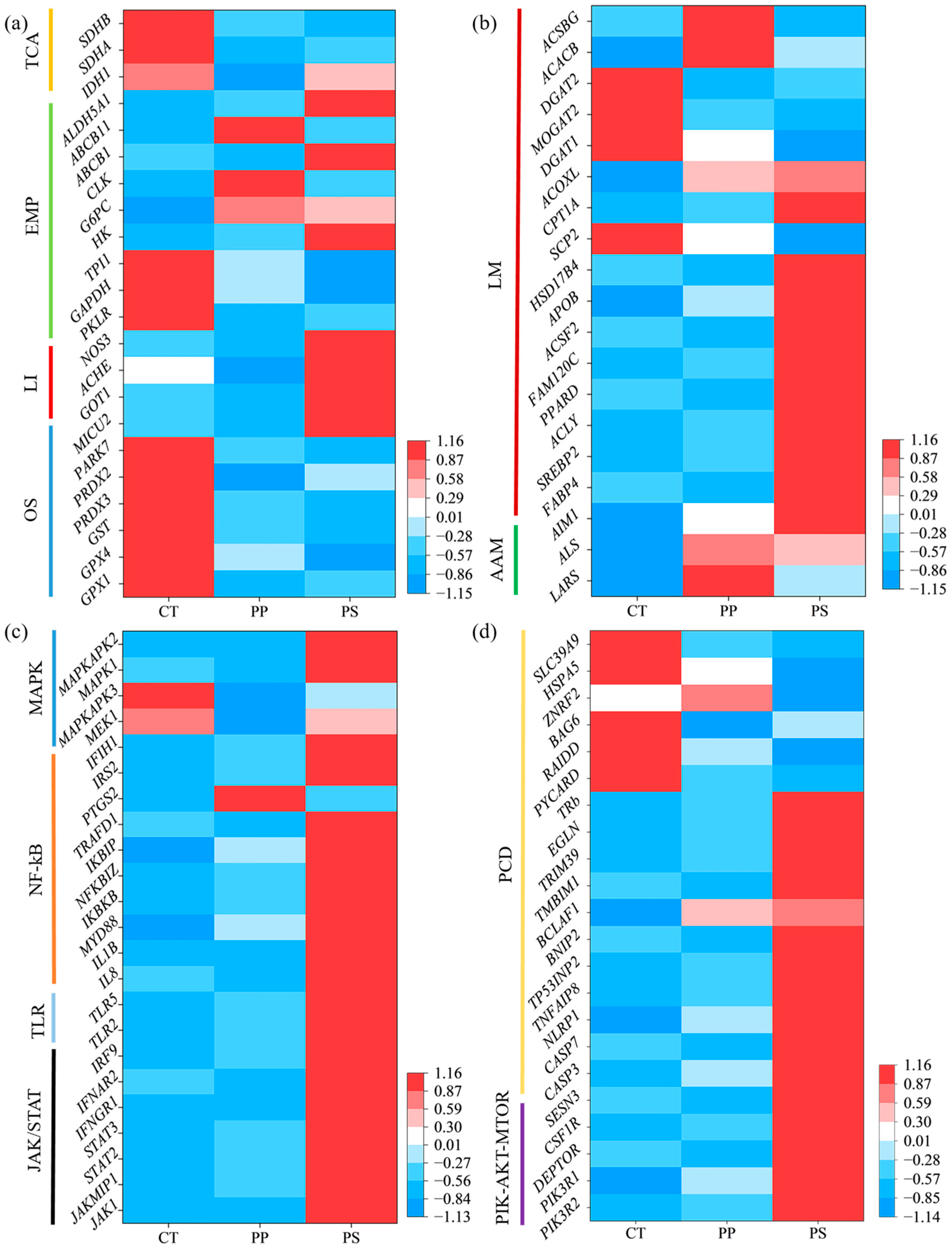 Toxics 13 00165 g005 Toxics 13 00165 g005