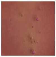 Toxics 13 00201 i009