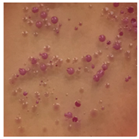 Toxics 13 00201 i010