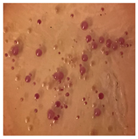 Toxics 13 00201 i011