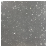 Toxics 13 00201 i023